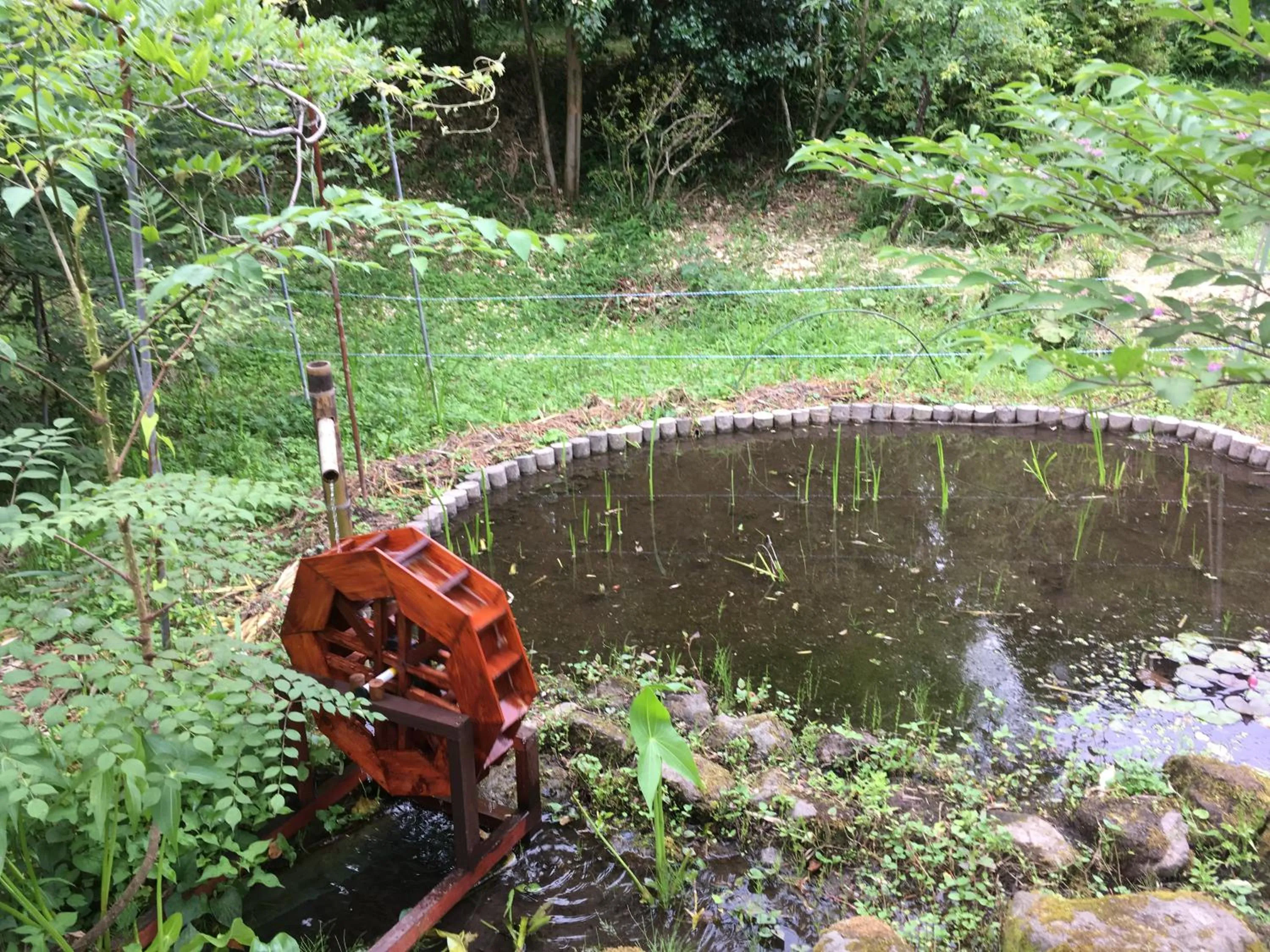 Garden in 山荘 紗羅樹 Syaranoki