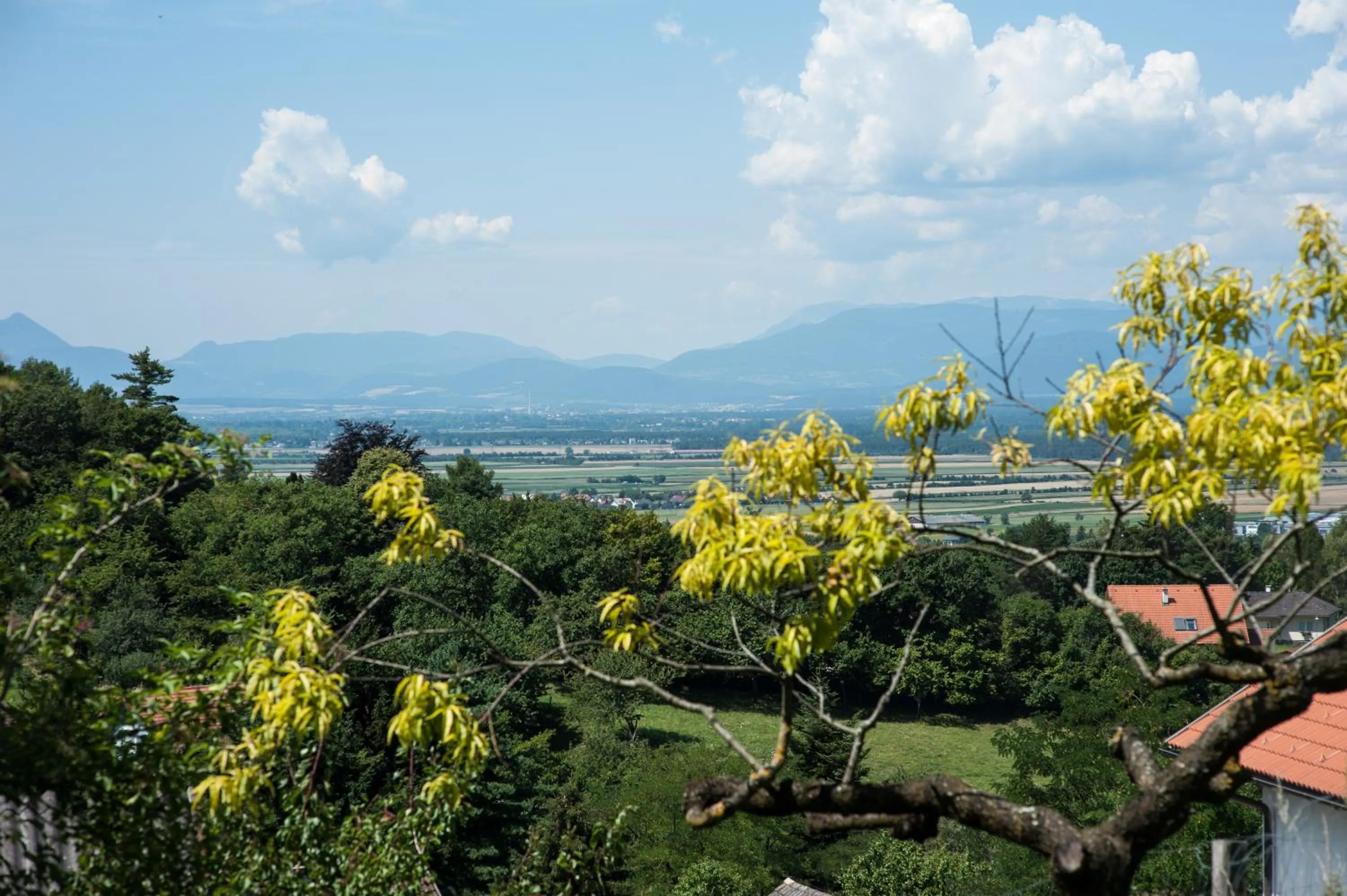 Garden in Kupfer-Dachl