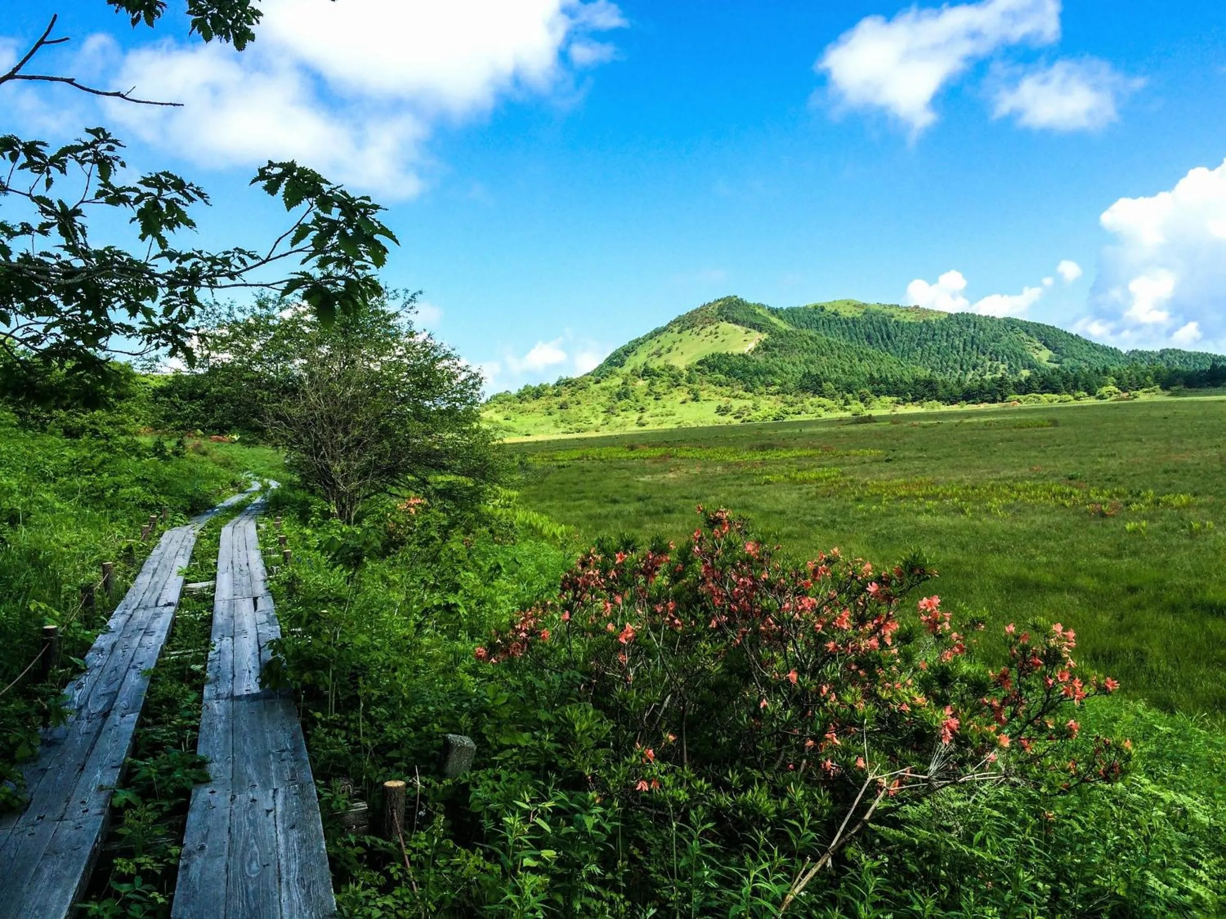 Natural landscape in Kurumayama Kogen Guesthouse Urara