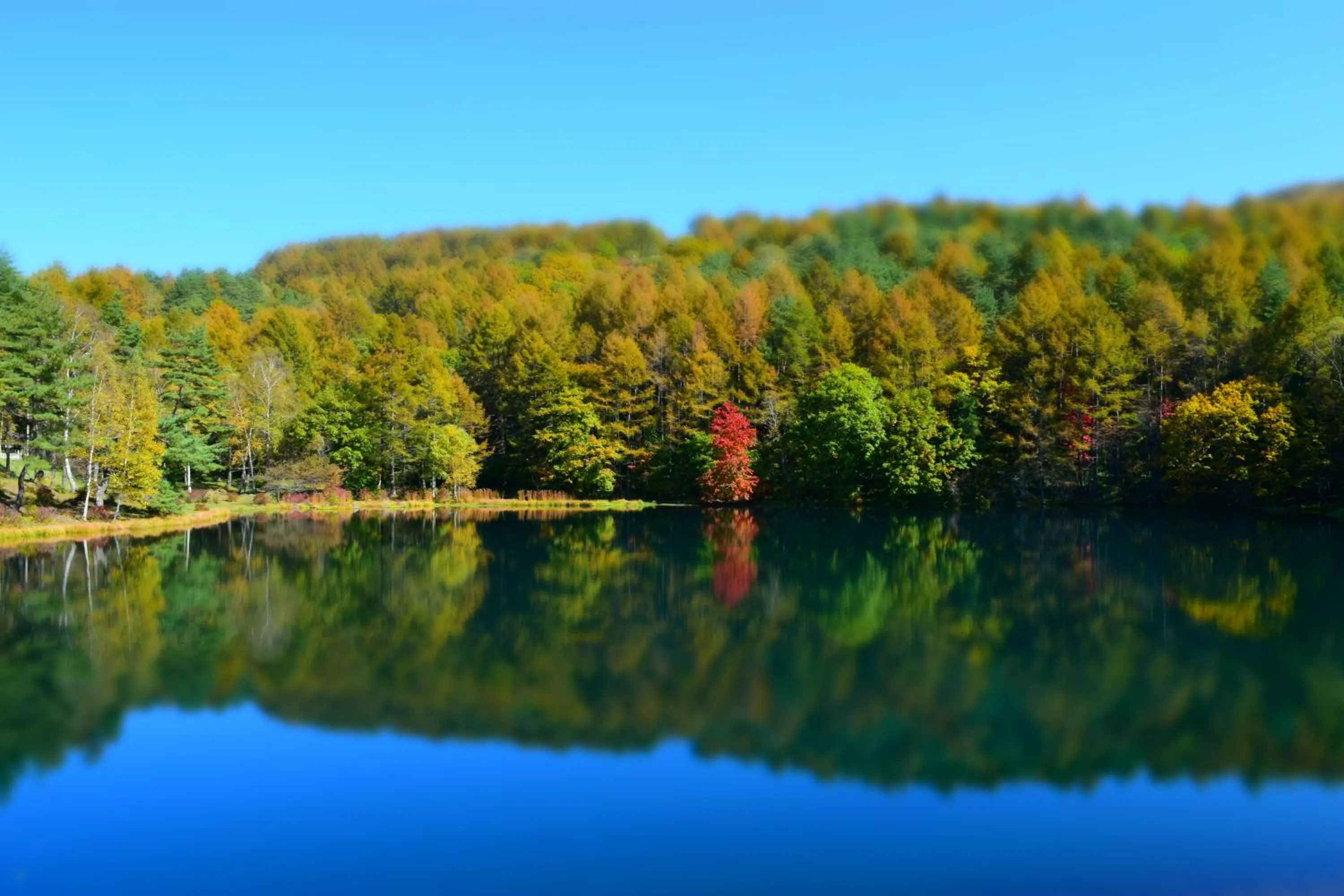Natural landscape in Kurumayama Kogen Guesthouse Urara