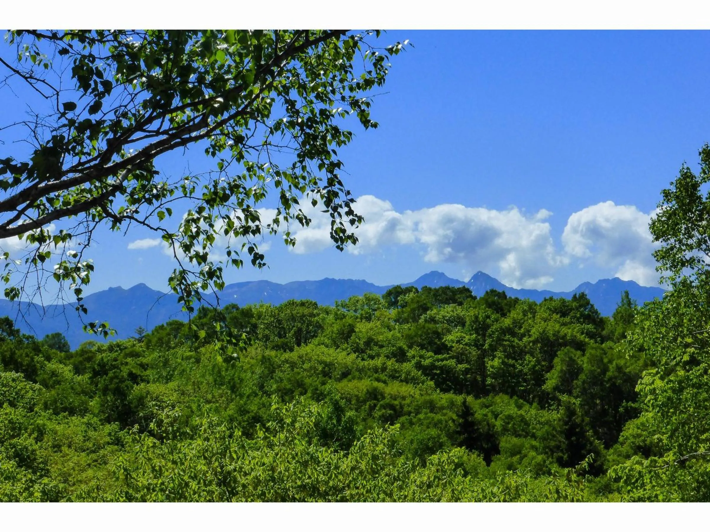 Natural landscape in Kurumayama Kogen Guesthouse Urara