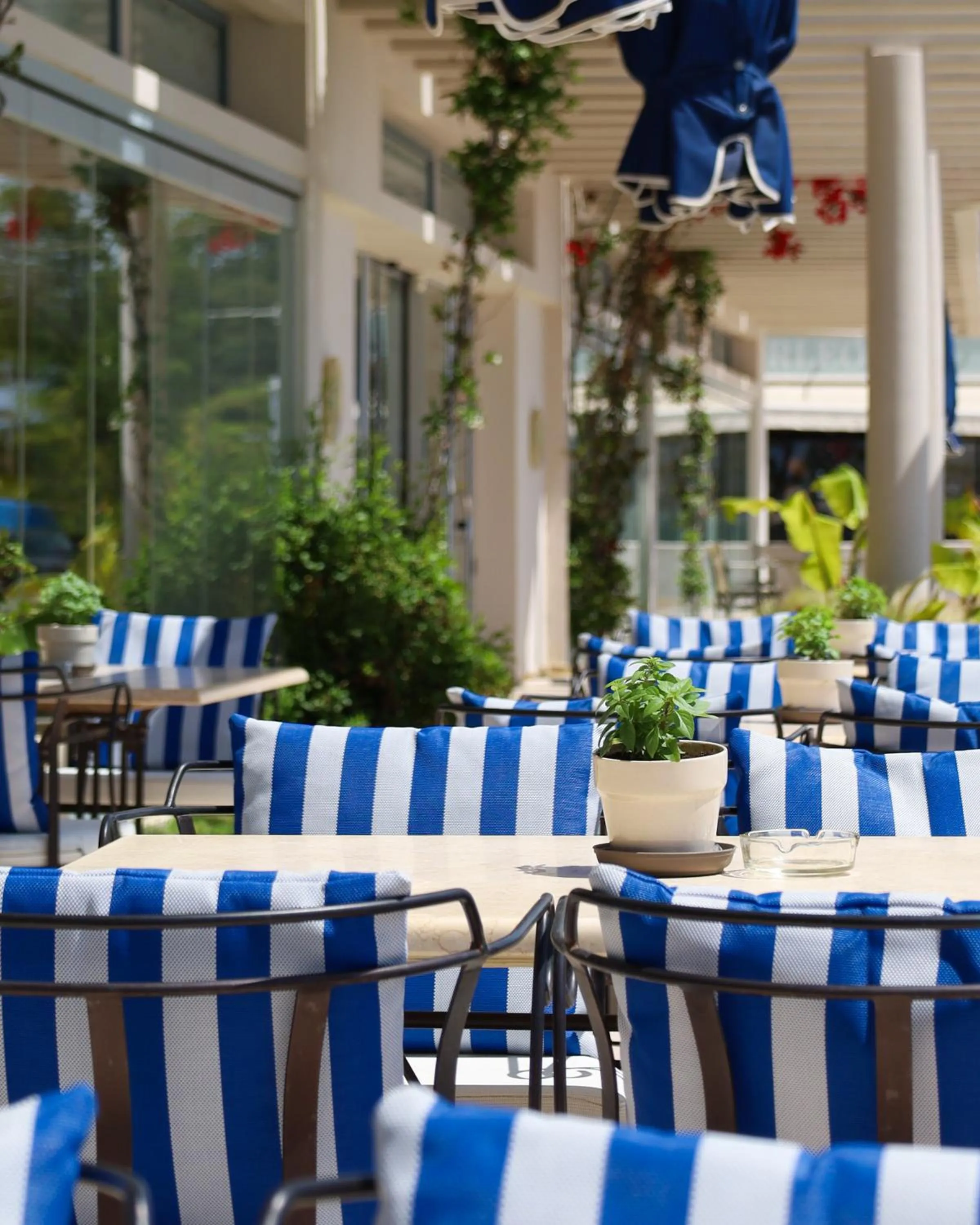 Restaurant/places to eat in Aegean Blue Beach Hotel