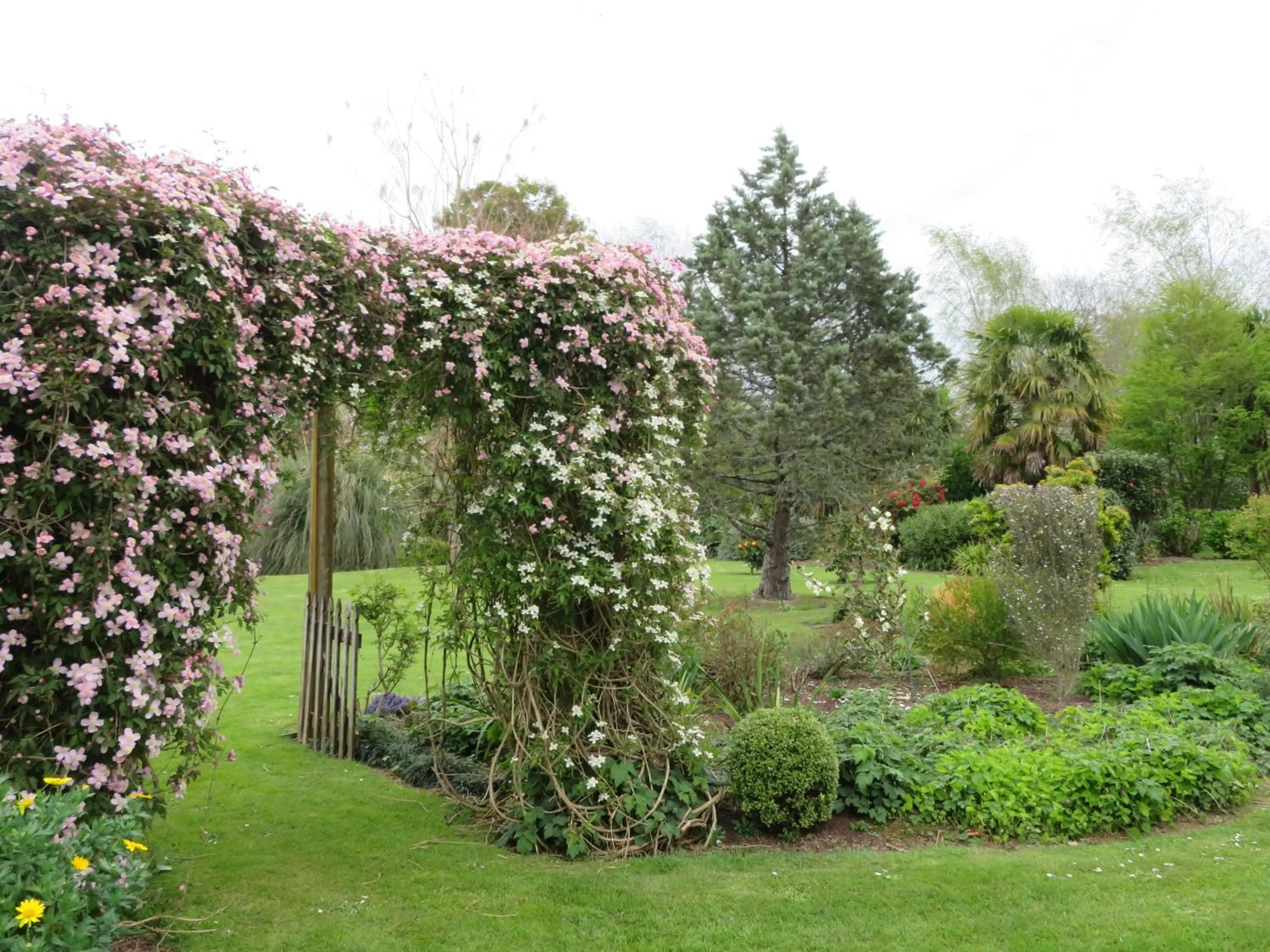 Garden view in Walnut Lodge B&B