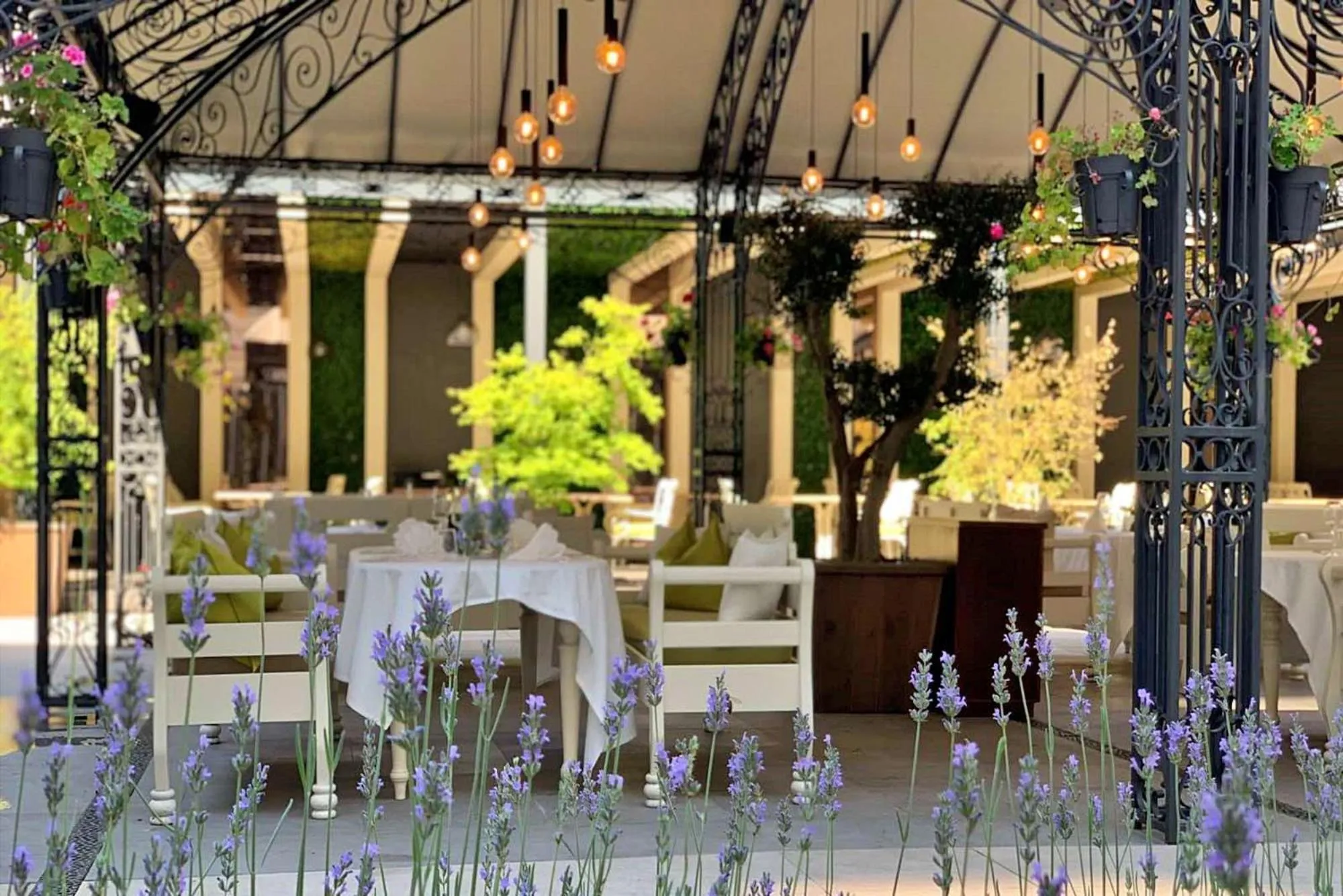 Garden in Dunav Plaza Hotel