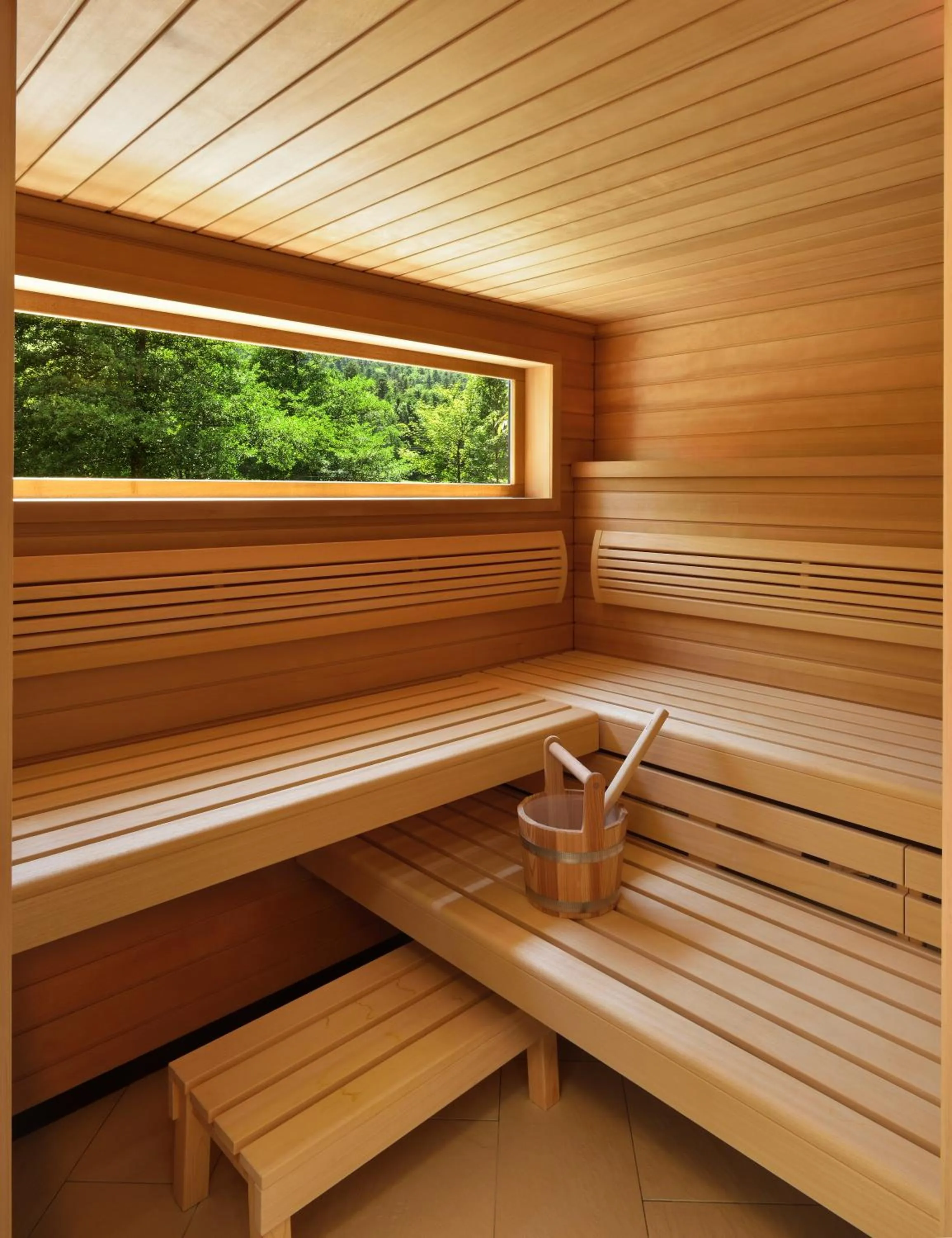 Sauna in Logis Hotel Des Vosges