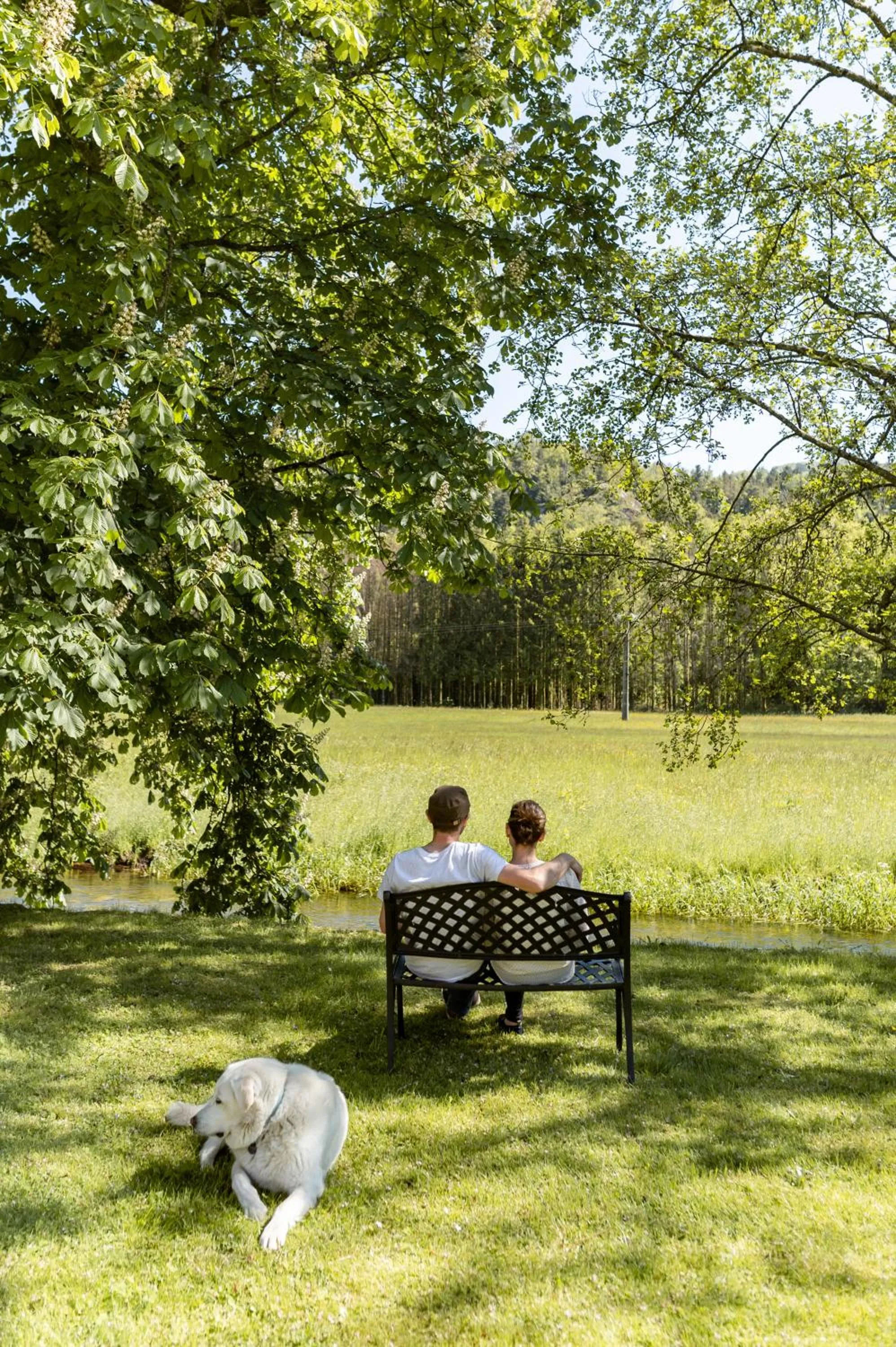 Natural landscape in Logis Hotel Des Vosges