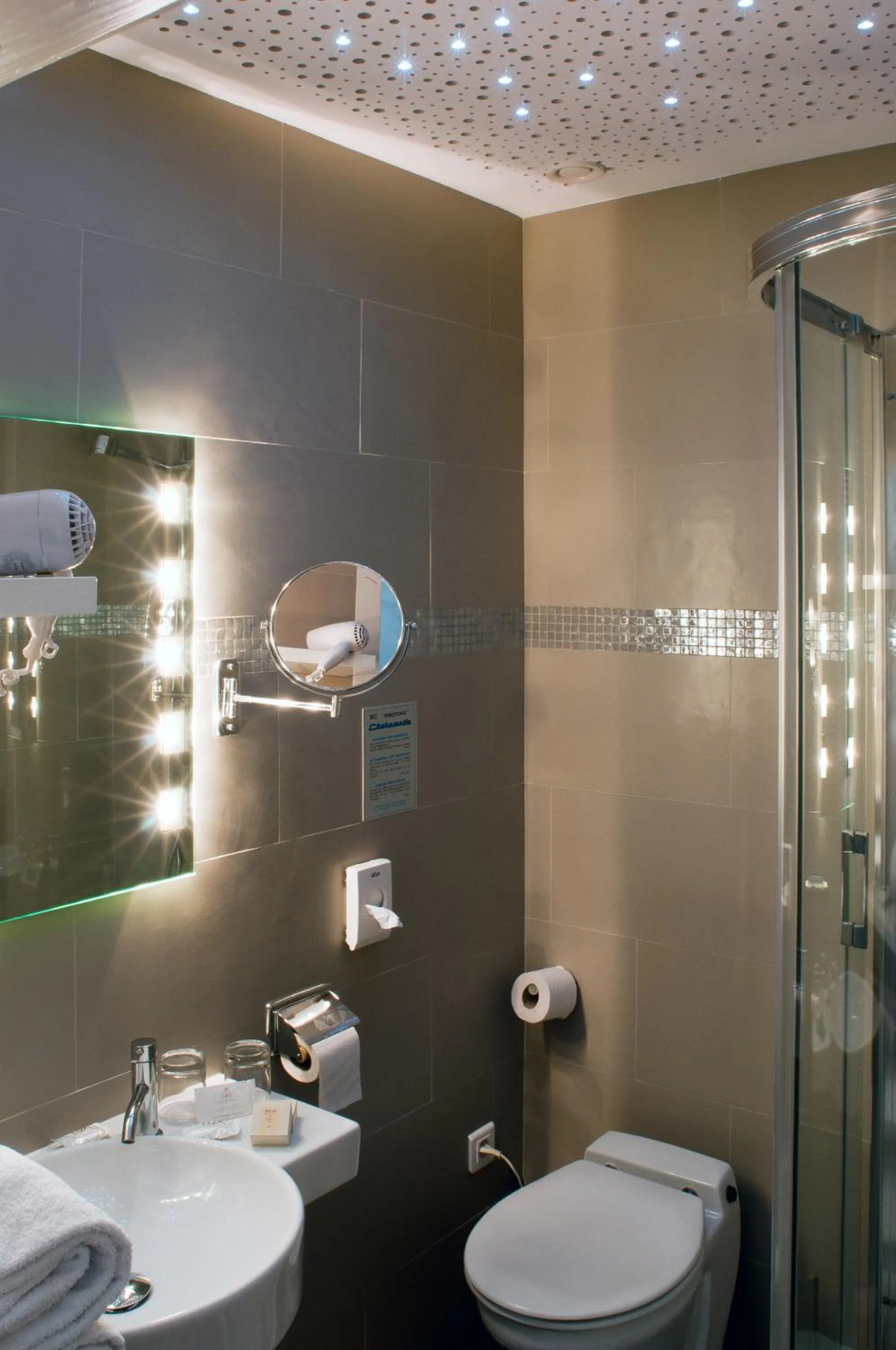 Toilet in Logis Hotel Des Vosges