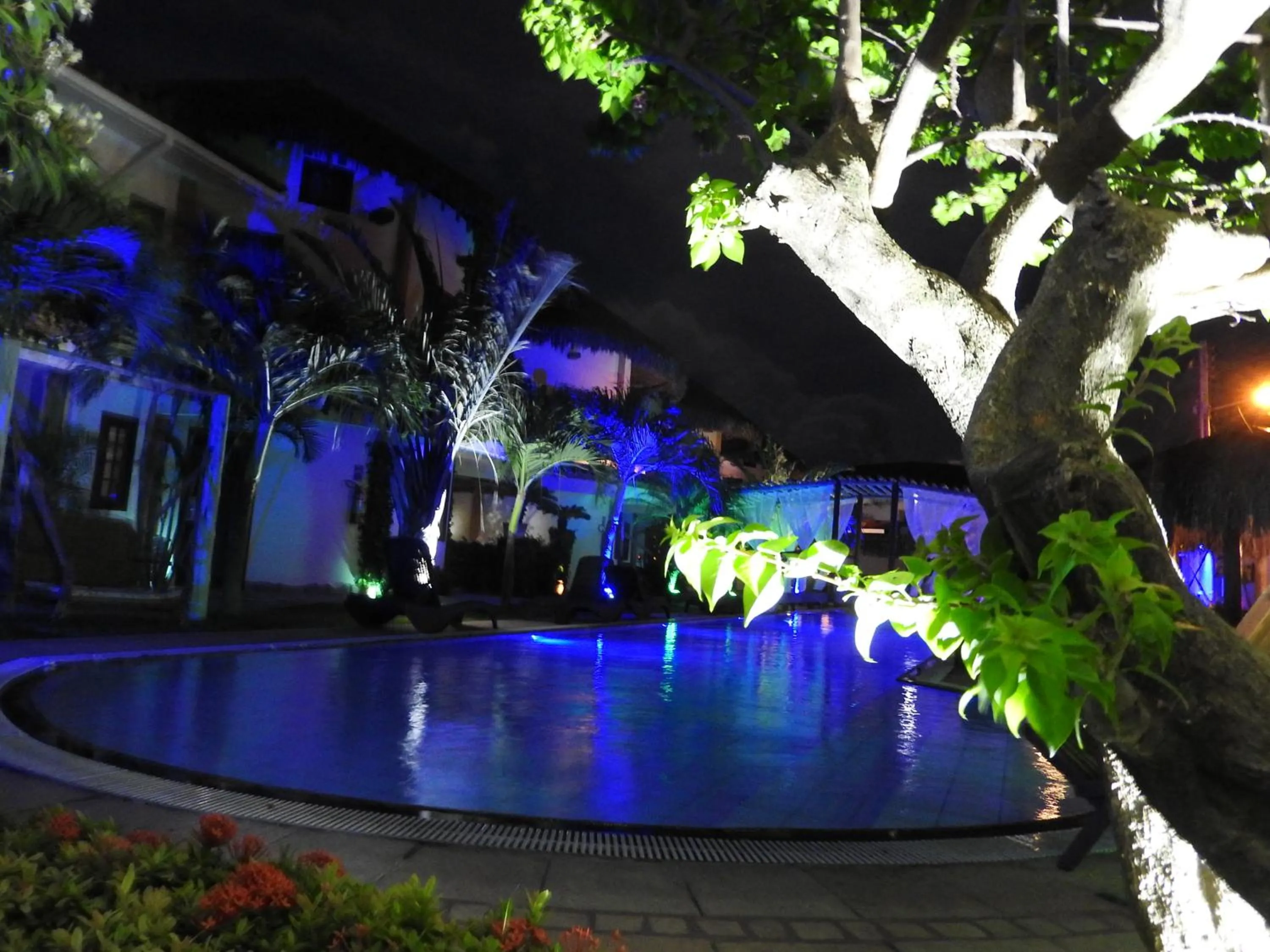 Bird's eye view in IL Nuraghe