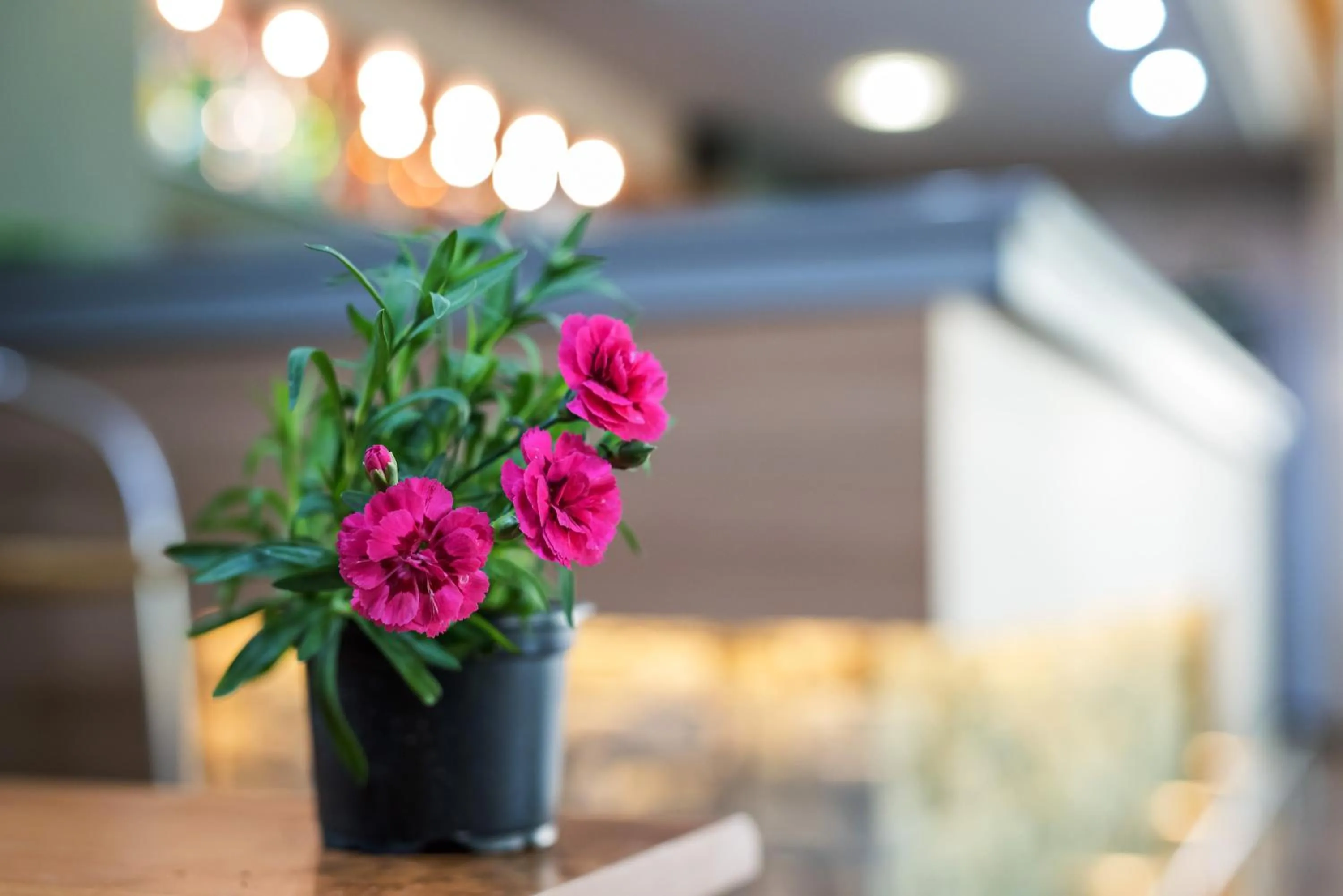 Decorative detail in Devin Spa Hotel