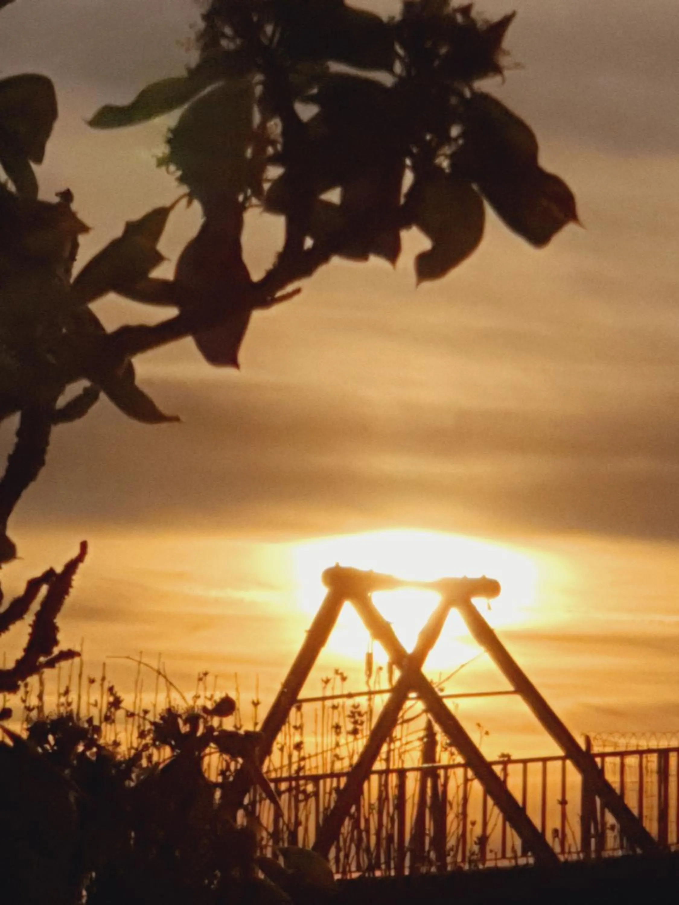 La Colline du Chat Perche