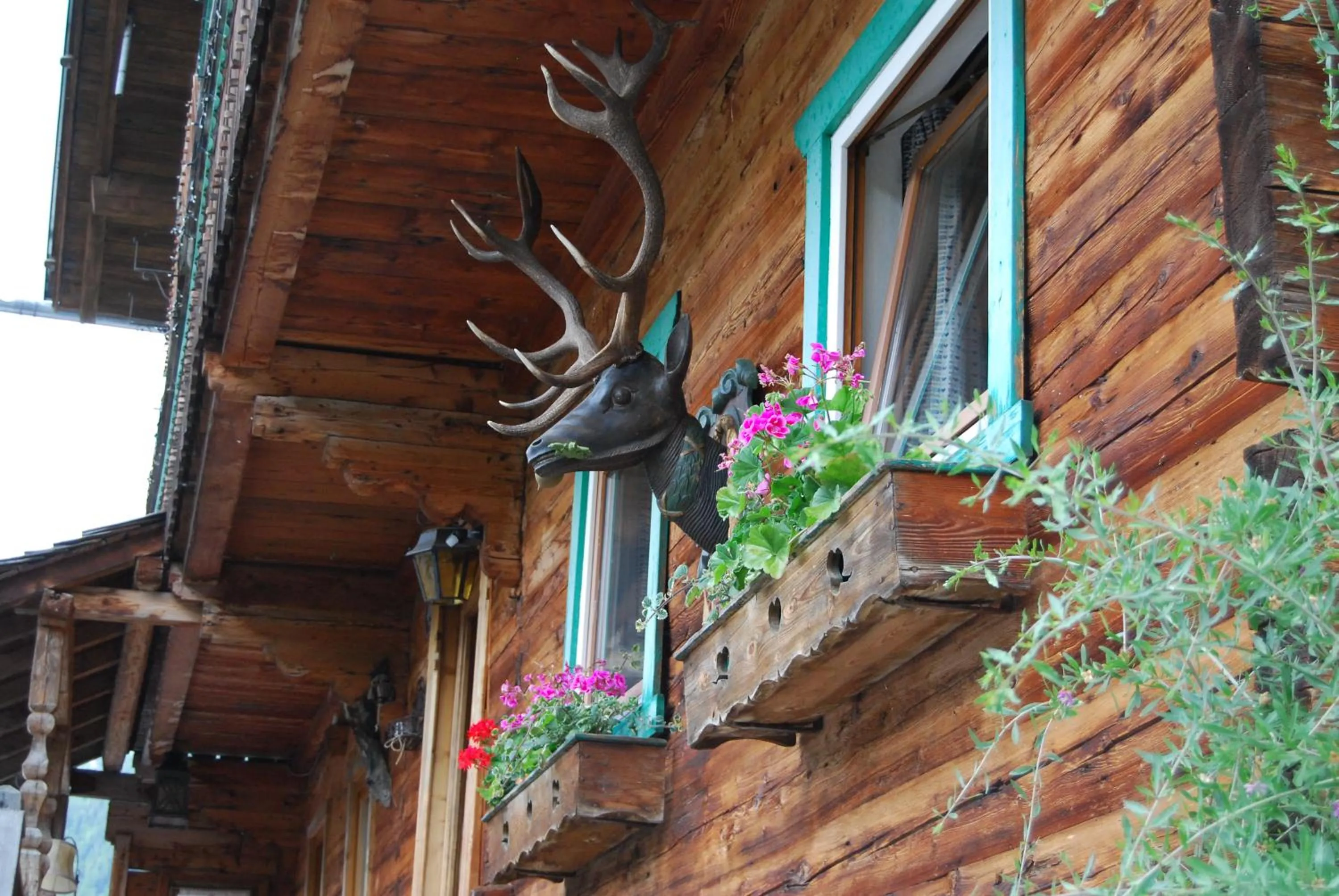 Facade/entrance in Pension Wassererhof
