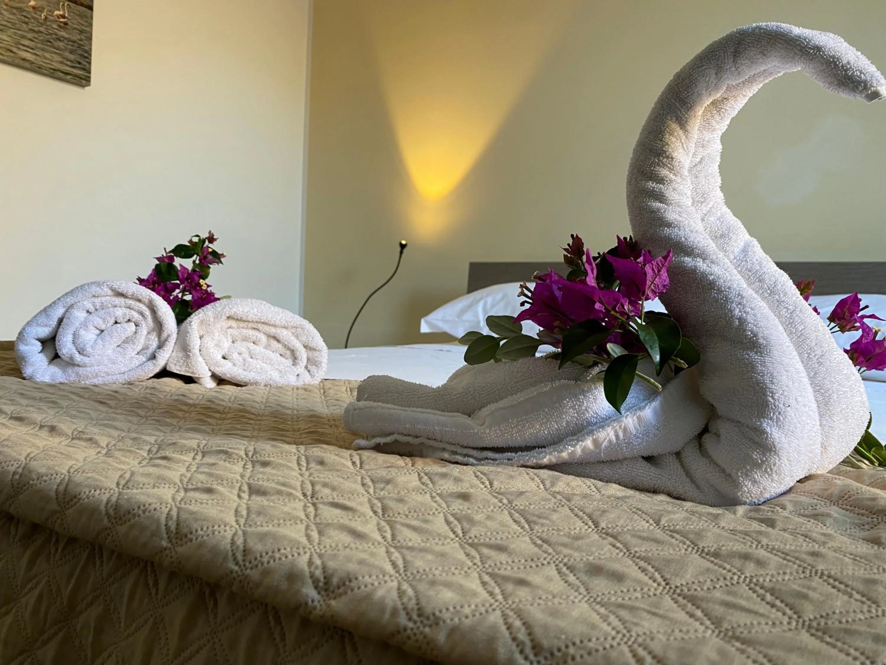 Bed in ProKite Alby Rondina - RESORT -