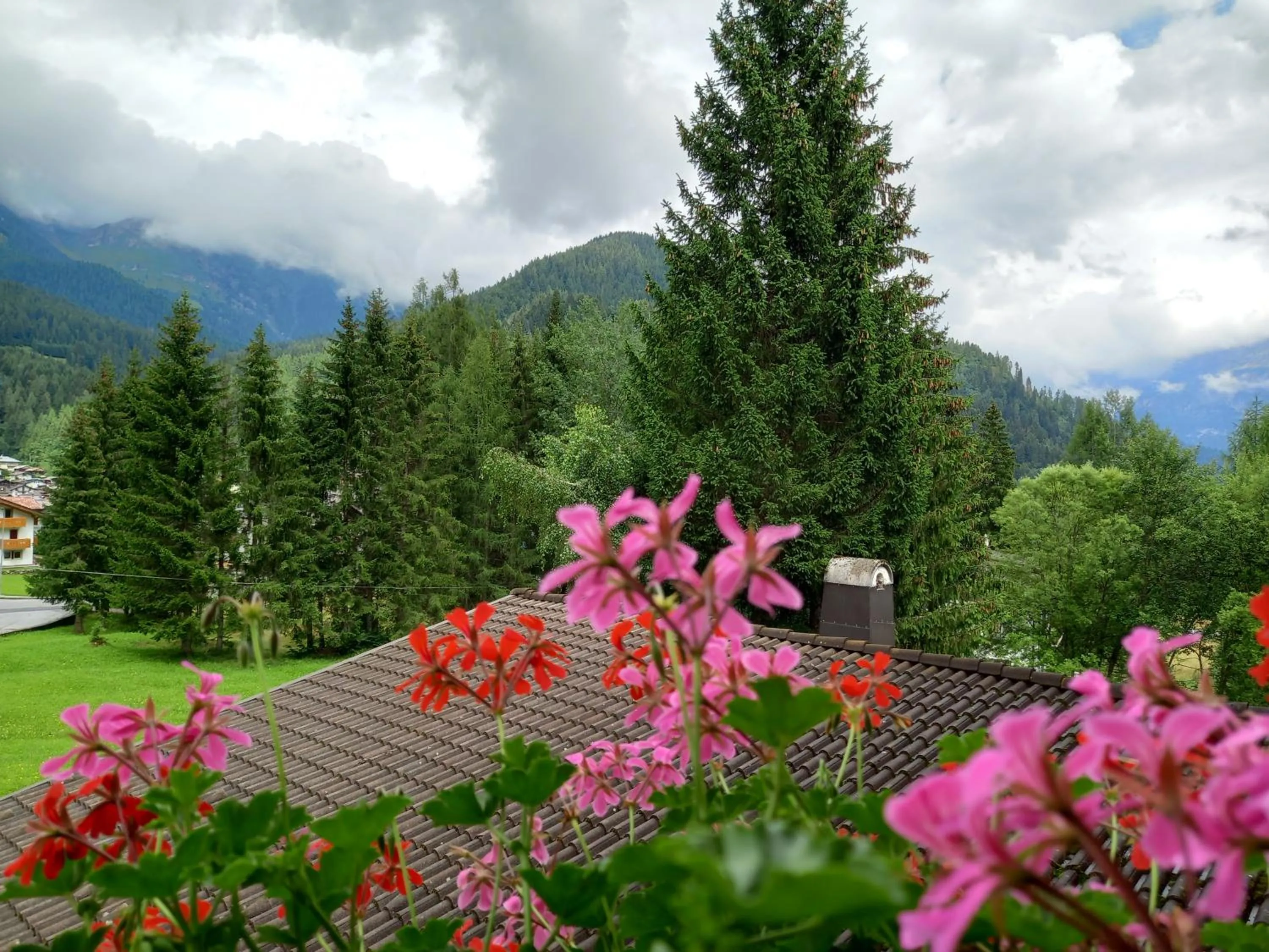 Natural landscape in Albergo Scoiattolo