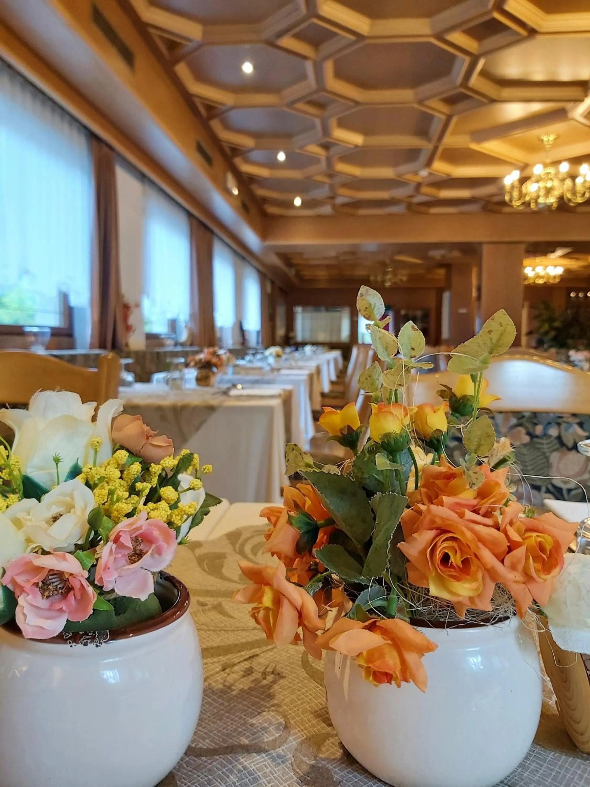 Restaurant/places to eat in Albergo Scoiattolo