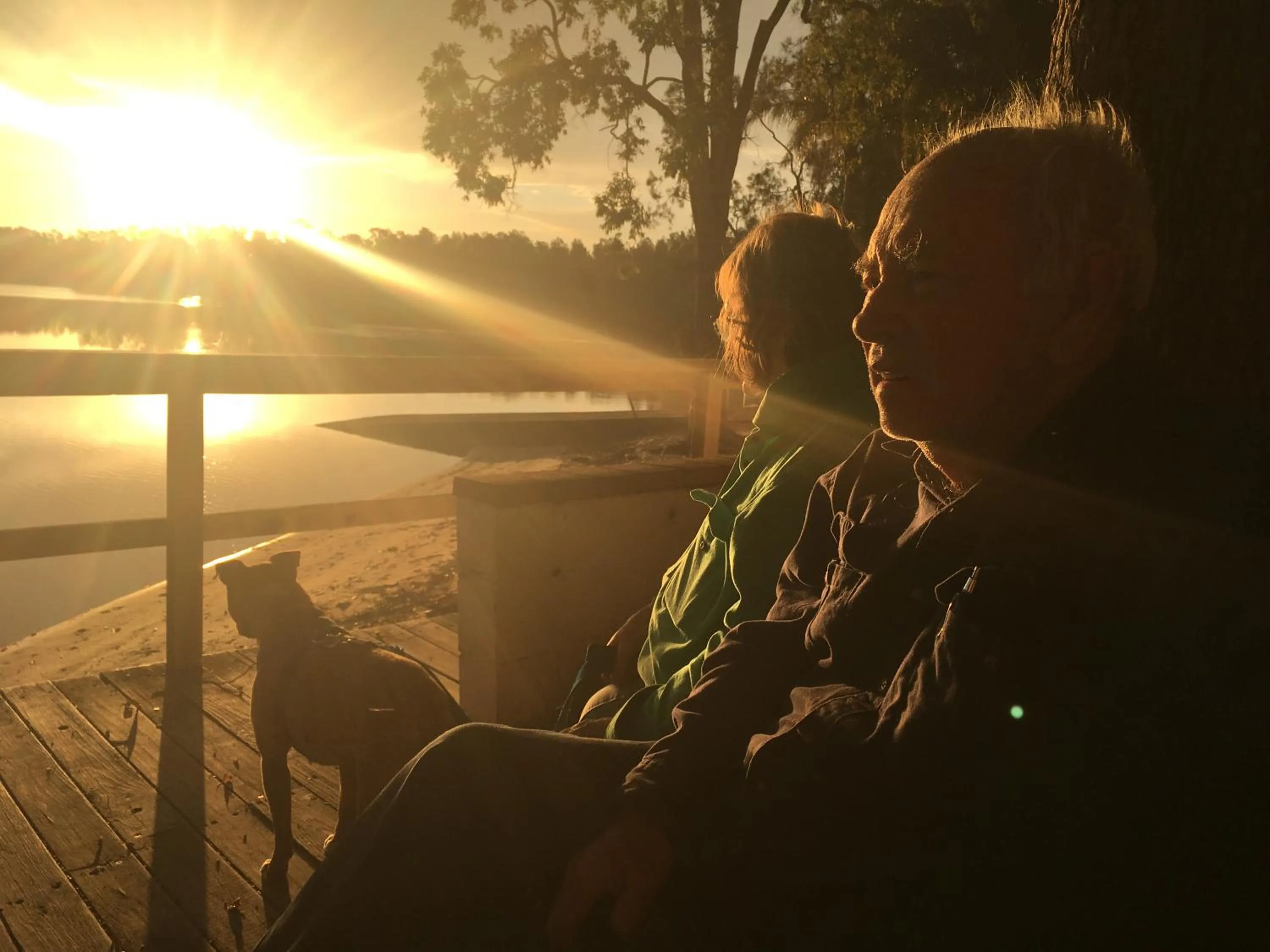 Pets in Discovery Parks - Forster