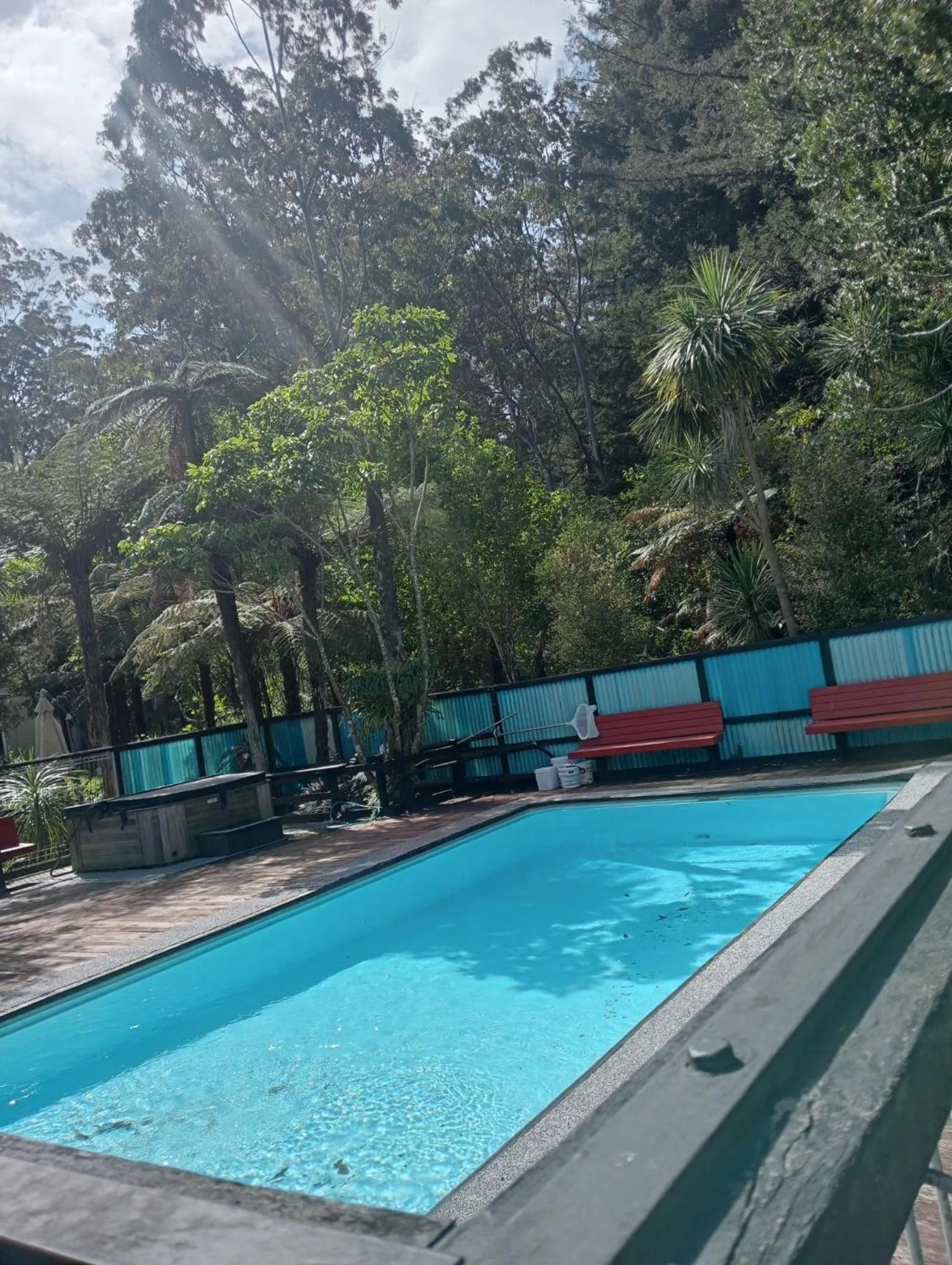 Swimming pool in Woodlands Motel