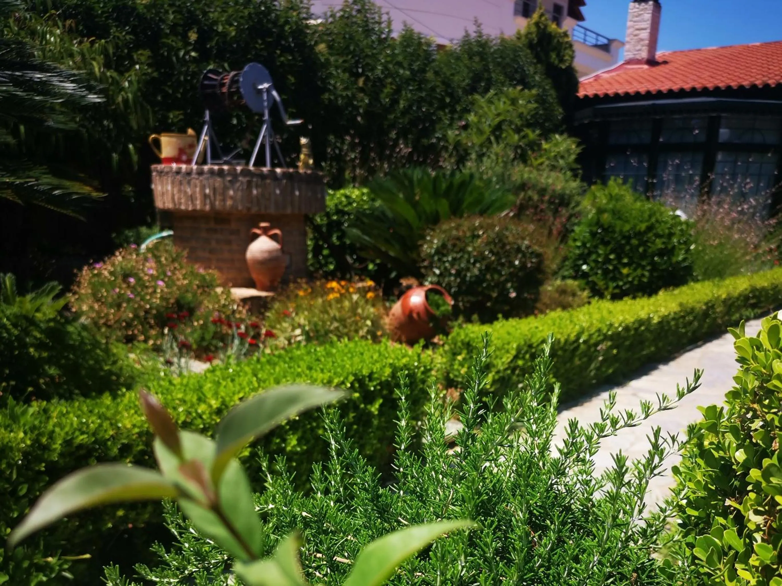 Garden in Natalie Apartments