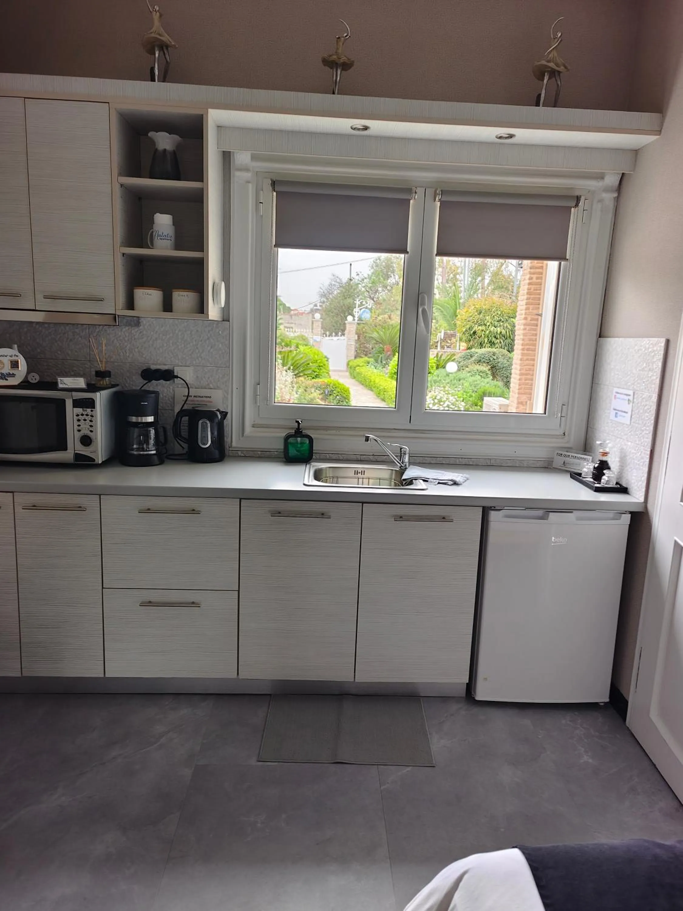 Kitchen or kitchenette in Natalie Apartments