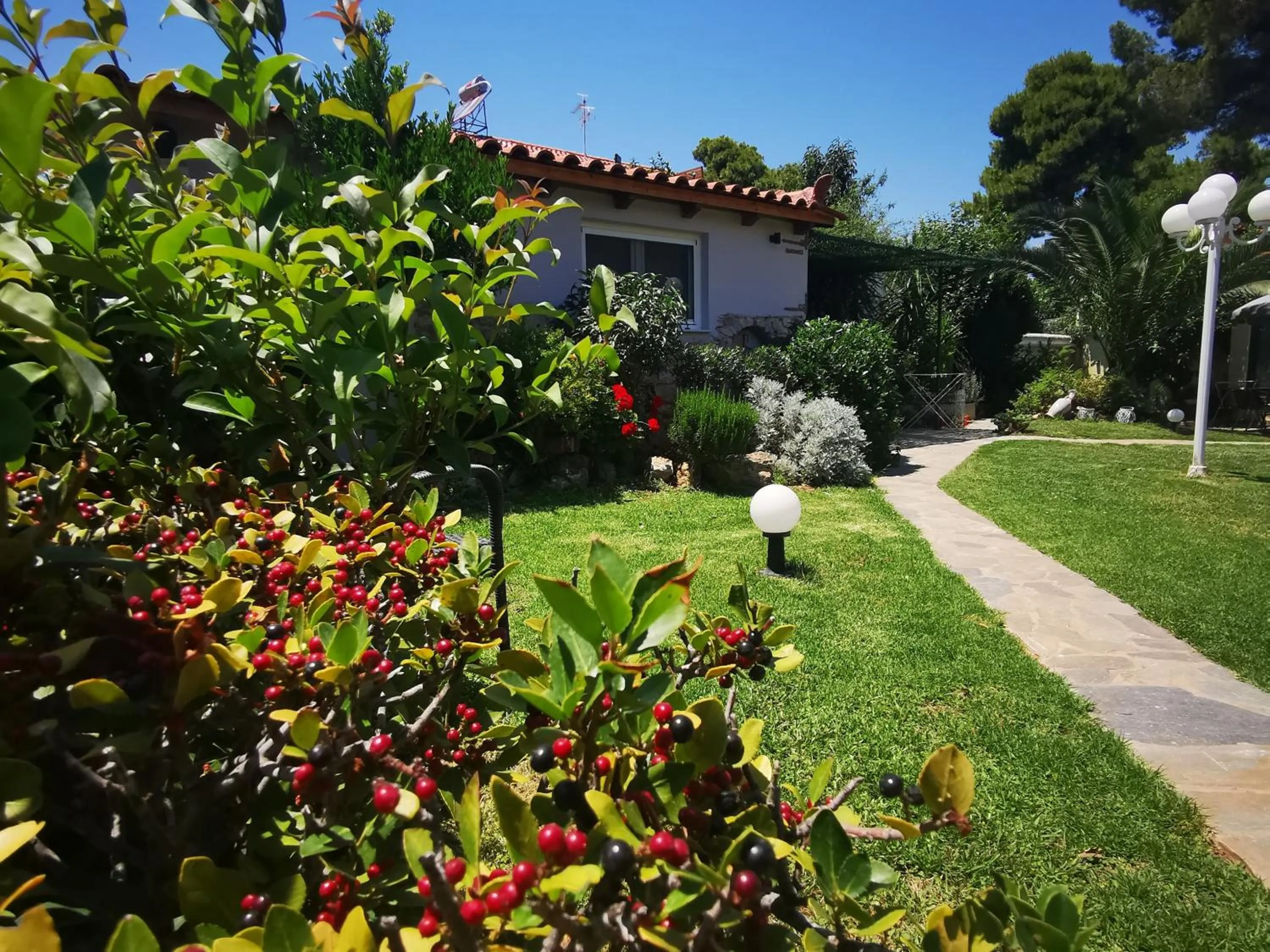 Garden in Natalie Apartments