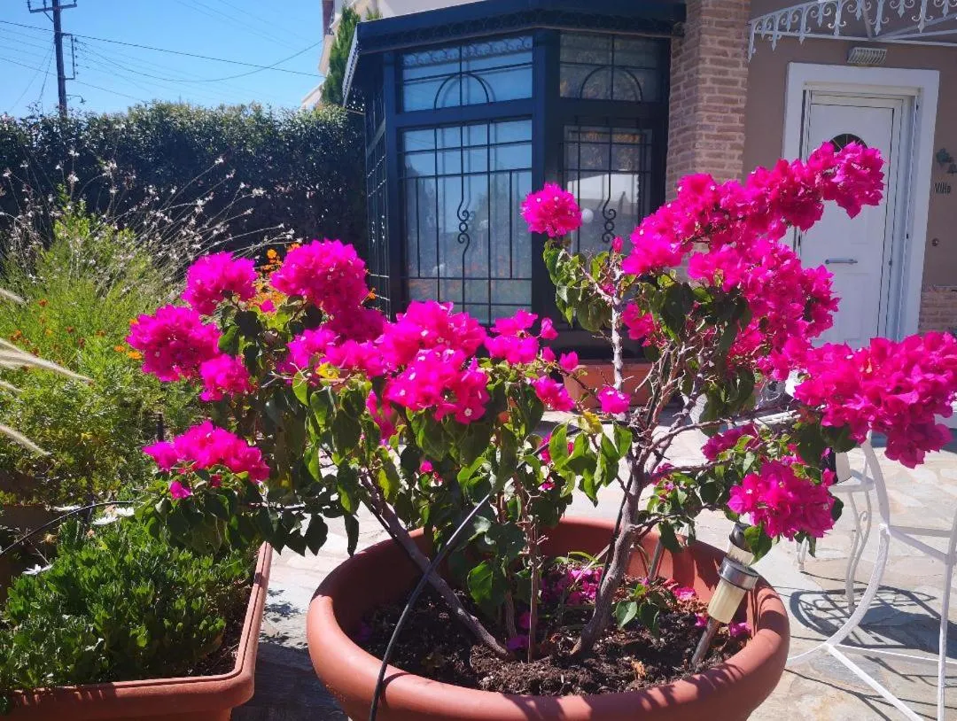 Facade/entrance in Natalie Apartments