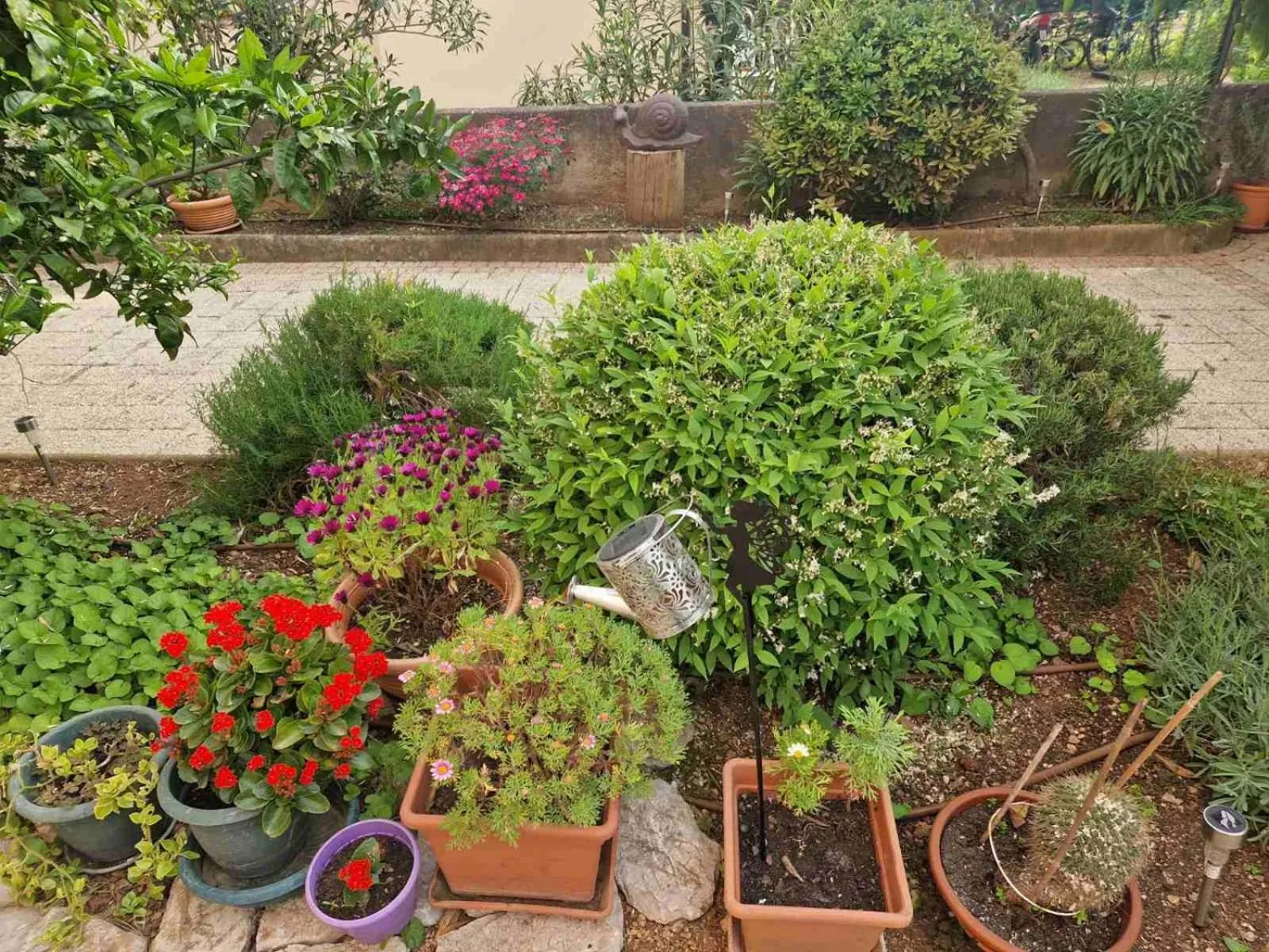 Garden in Apartman Ruza