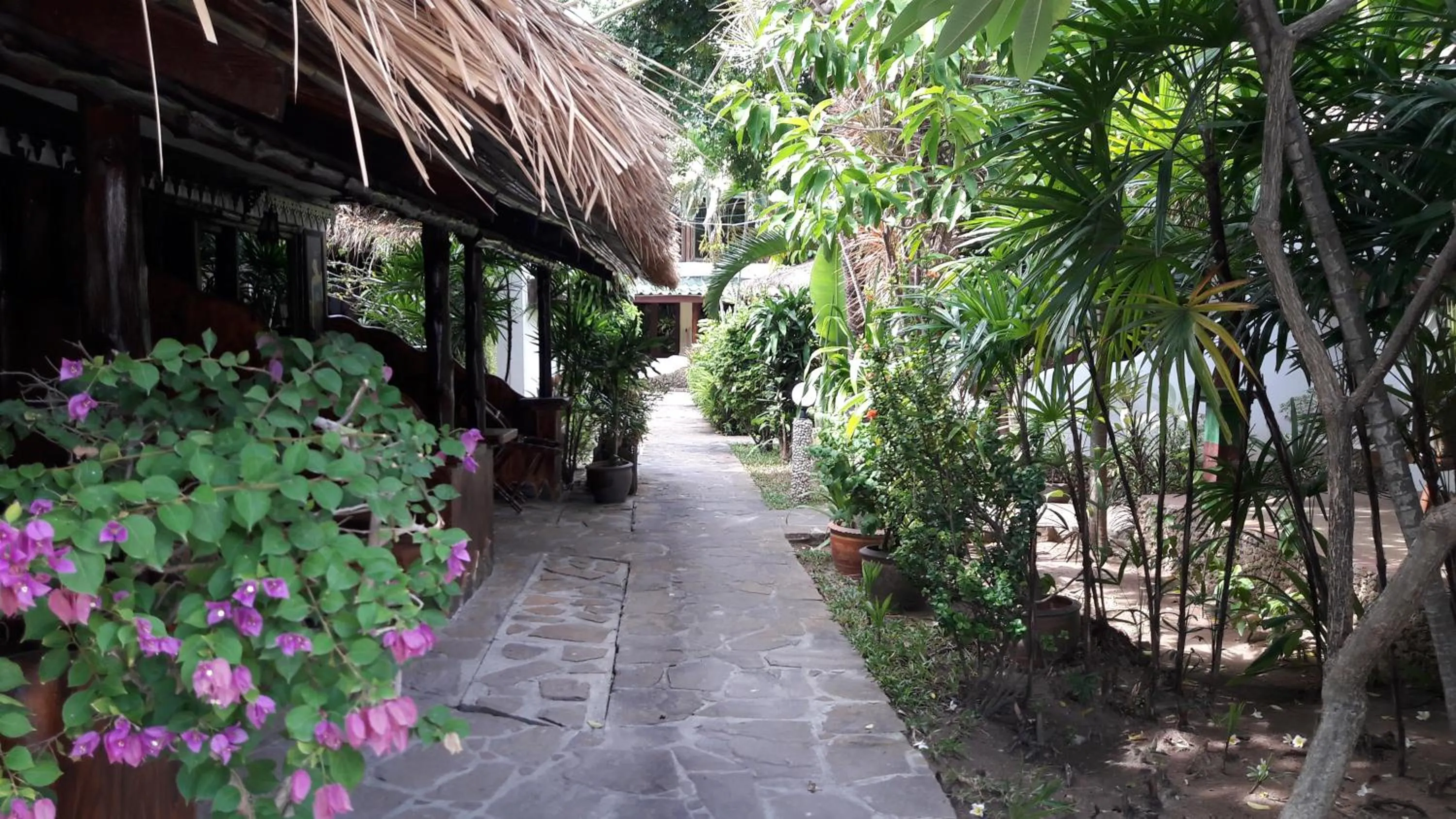 Garden view in Papillon Resort