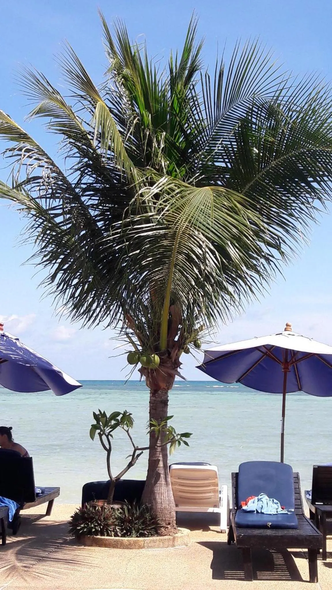 Property building in Papillon Resort