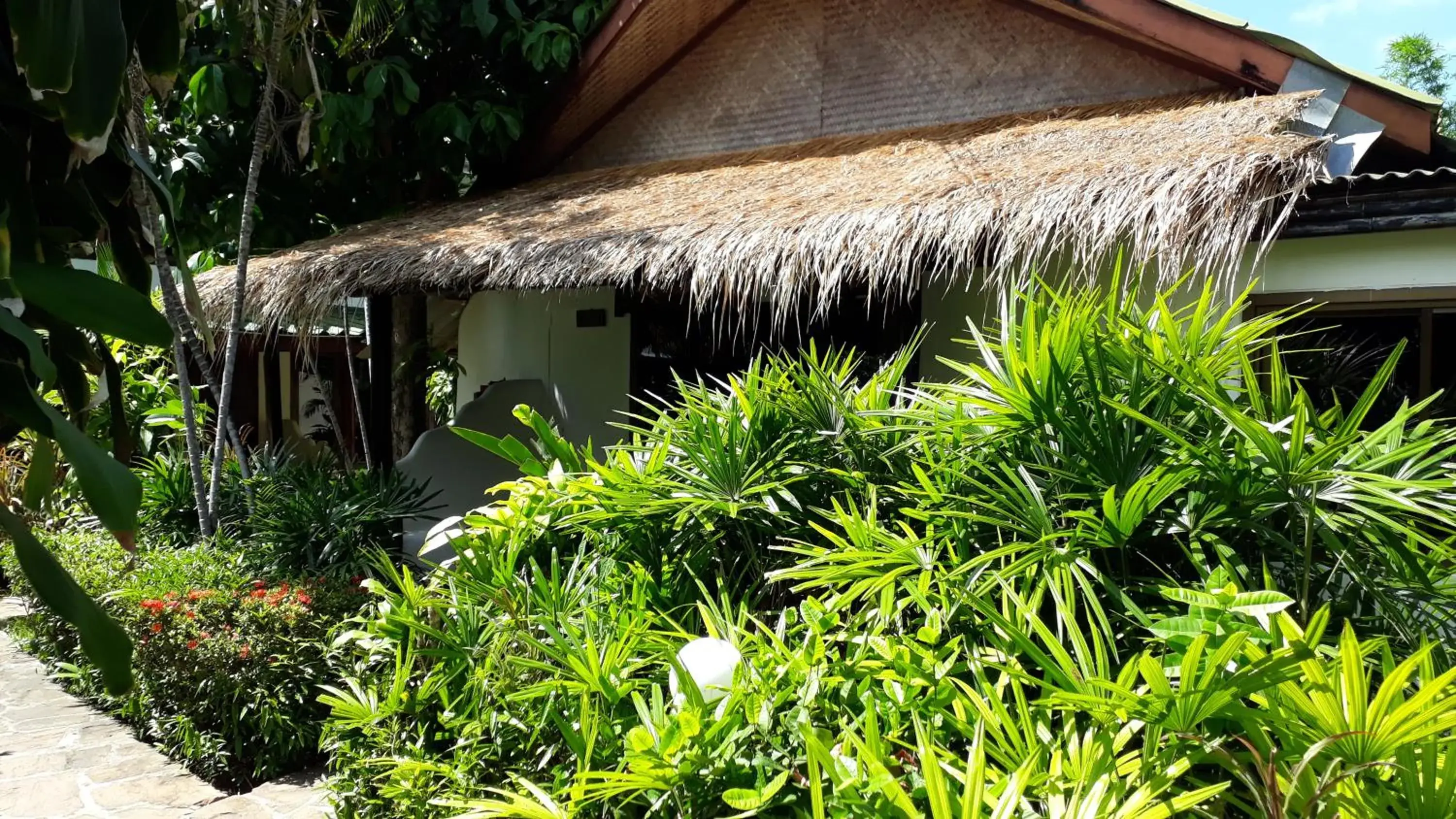 Suite in Papillon Resort Suite in Papillon Resort