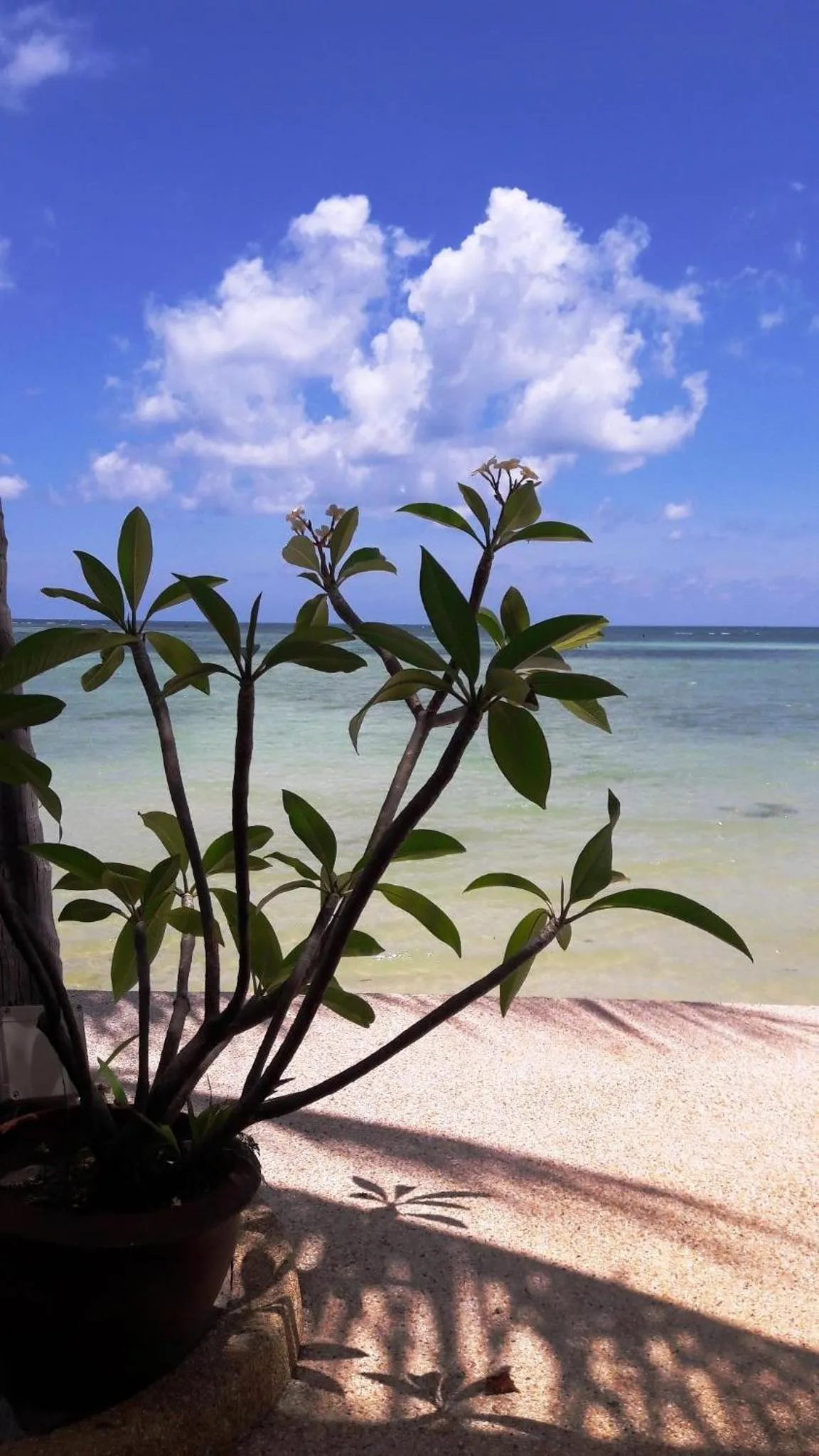 Property building in Papillon Resort