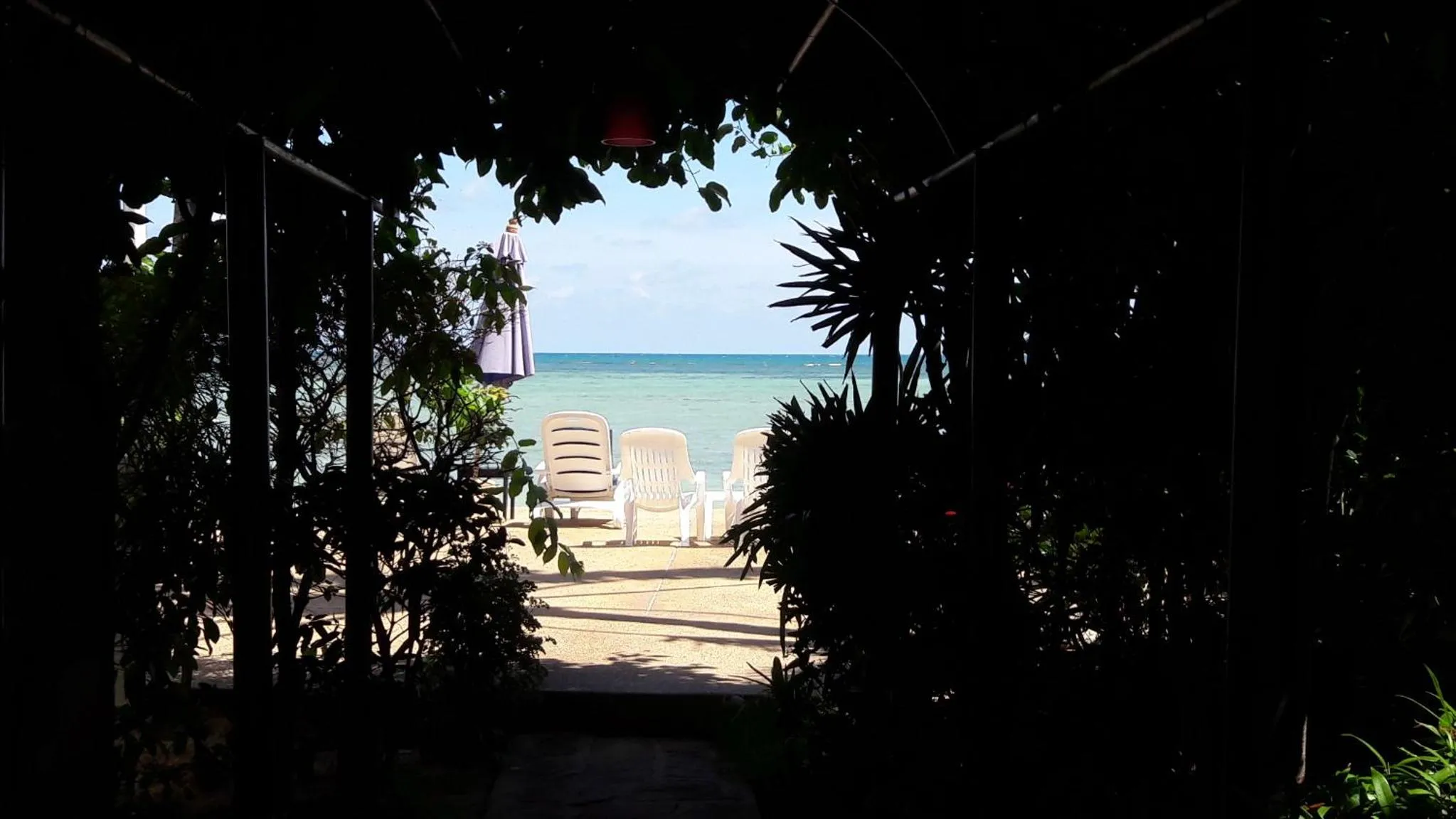 Sea view in Papillon Resort