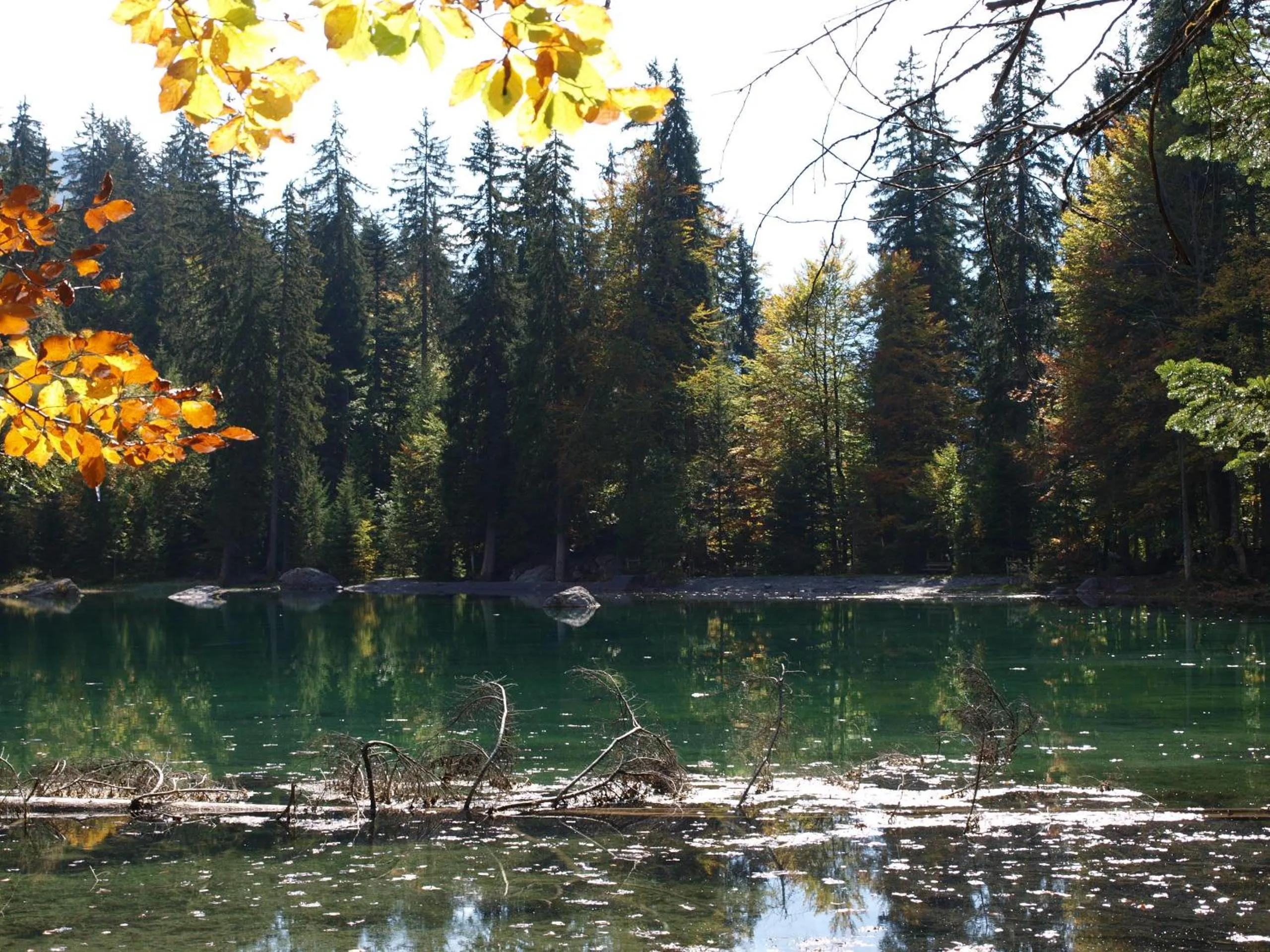 Area and facilities in Résidence Le Fontenay