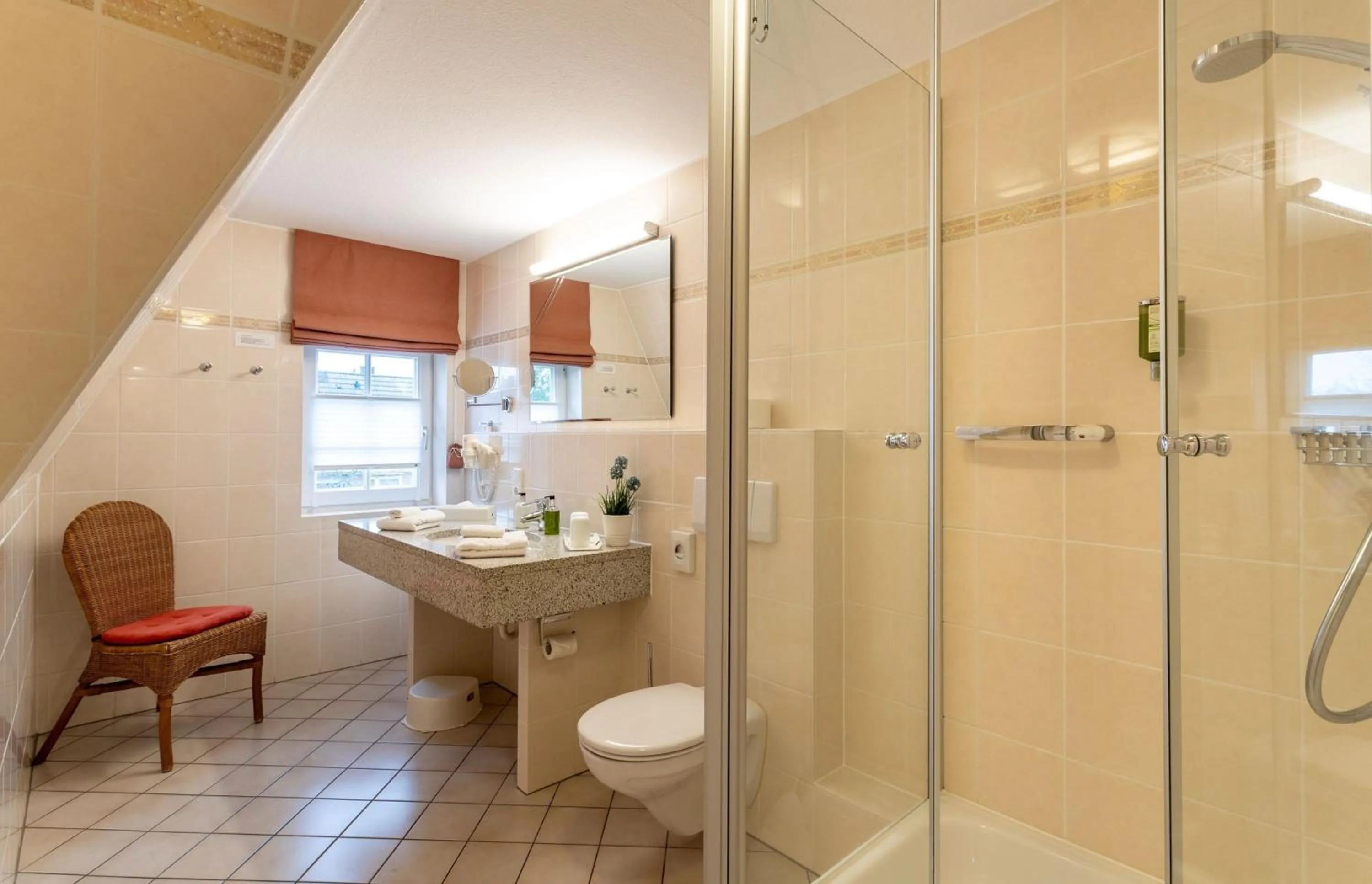 Shower in Hotel Landhaus Ellerbrock