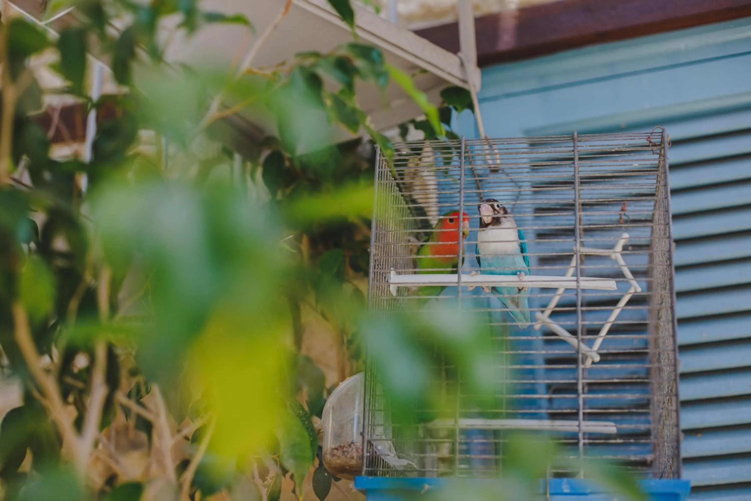 Other in Alkisti City Hotel