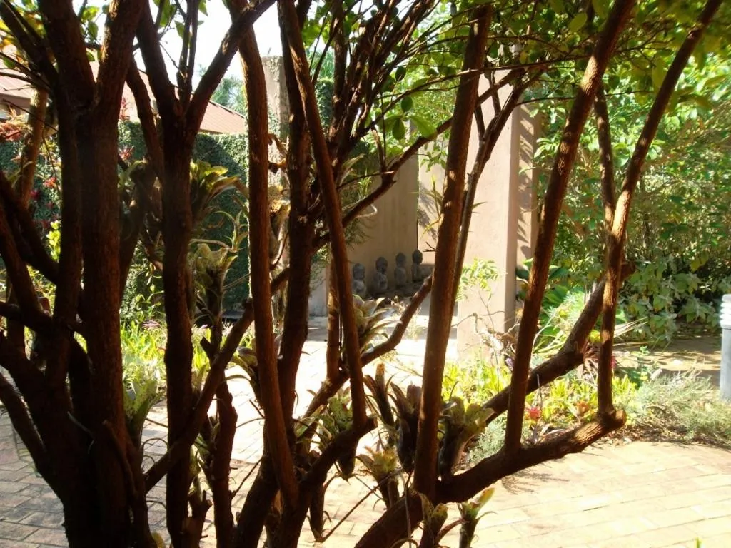 Garden in Ku De Ta B&B