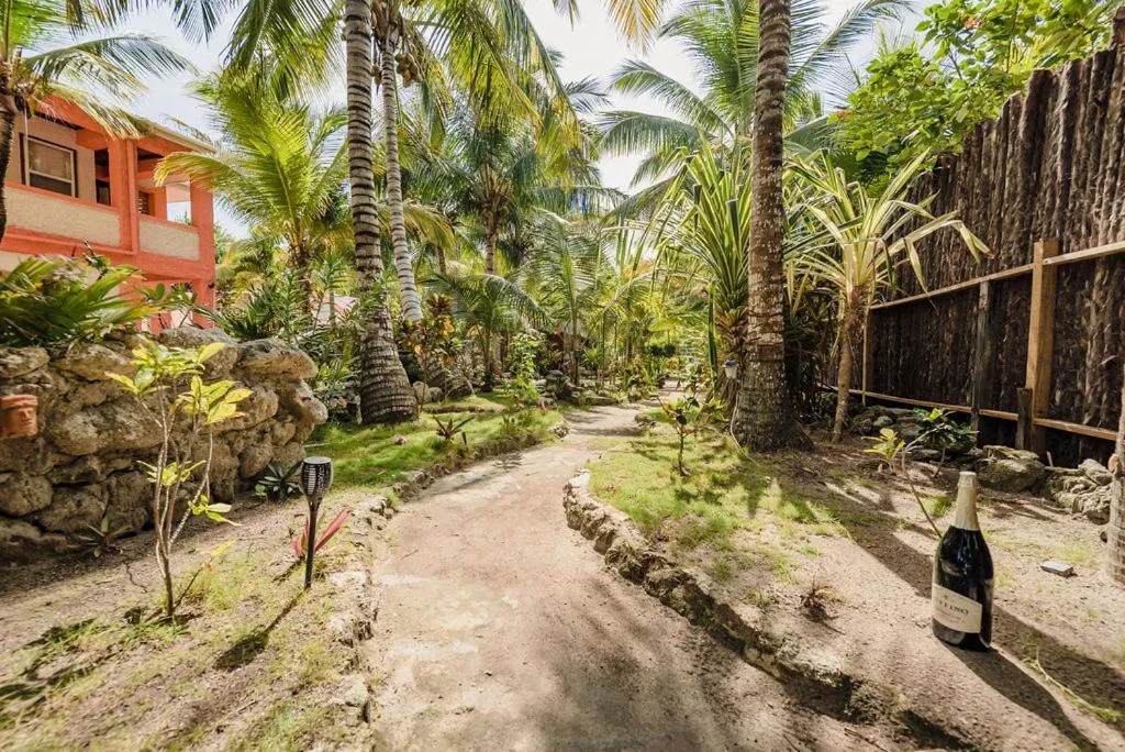 Garden view in Bella Vista Resort Belize