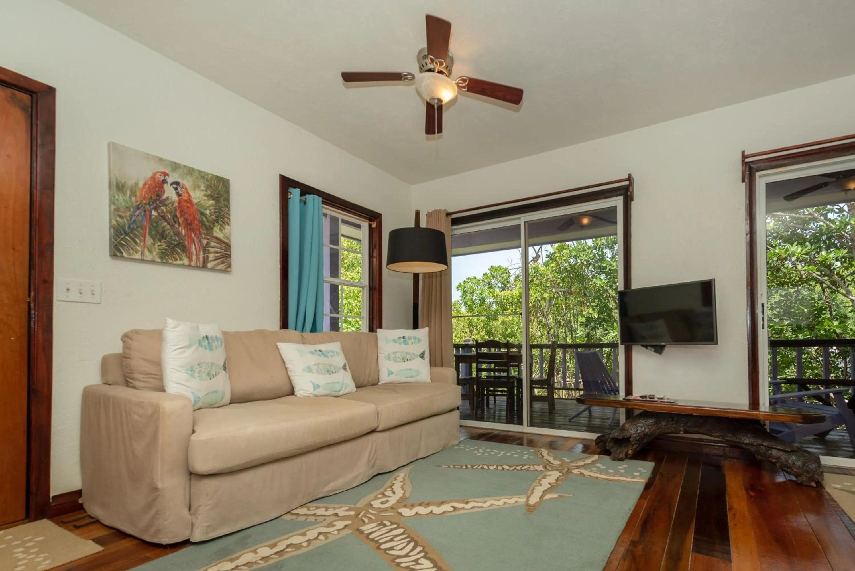 TV and multimedia in Bella Vista Resort Belize