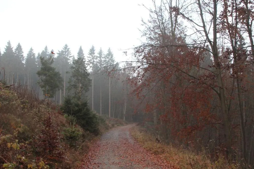 Area and facilities in Pension Walddorf