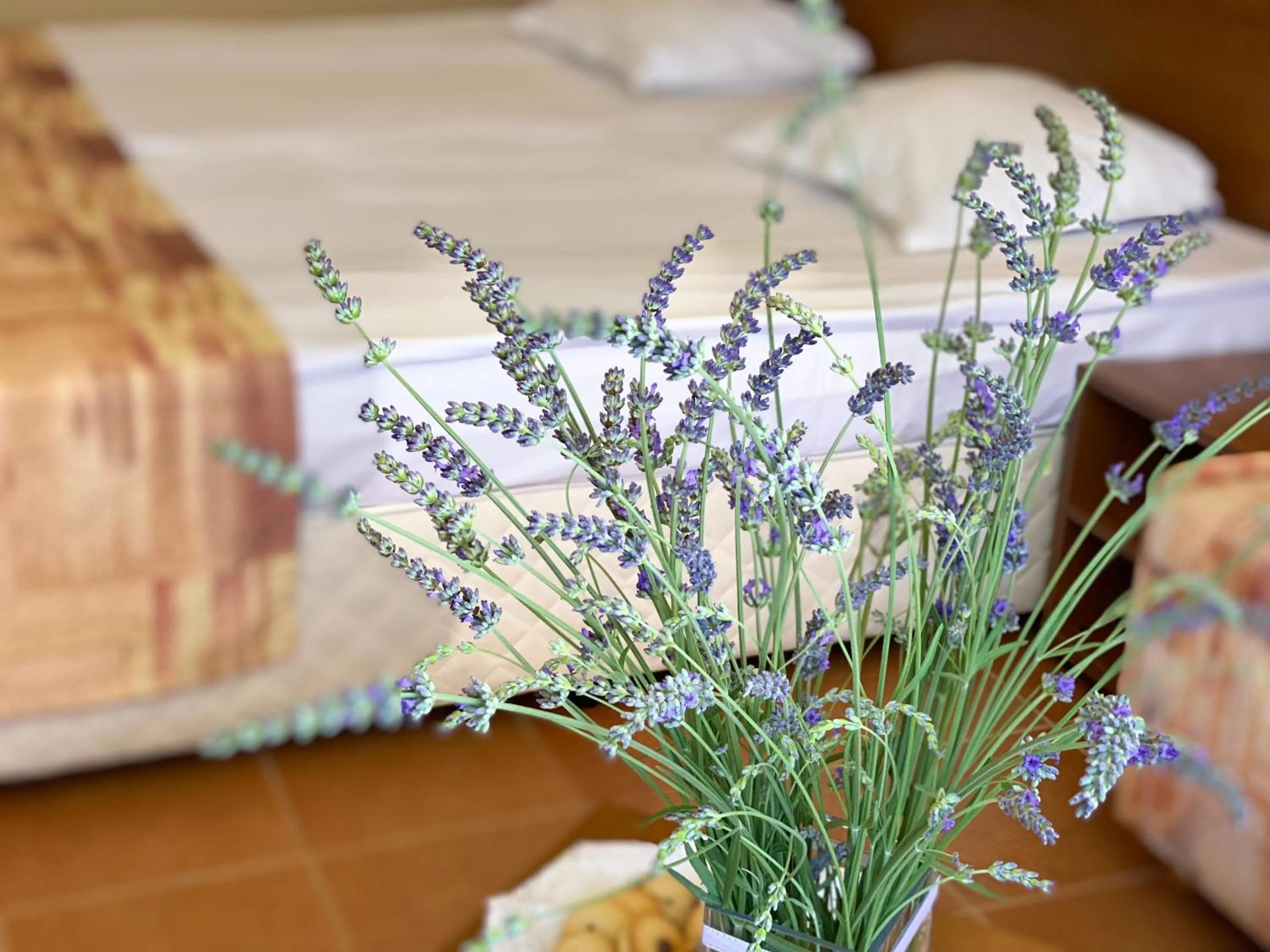 Bed in Hotel Plamena Palace