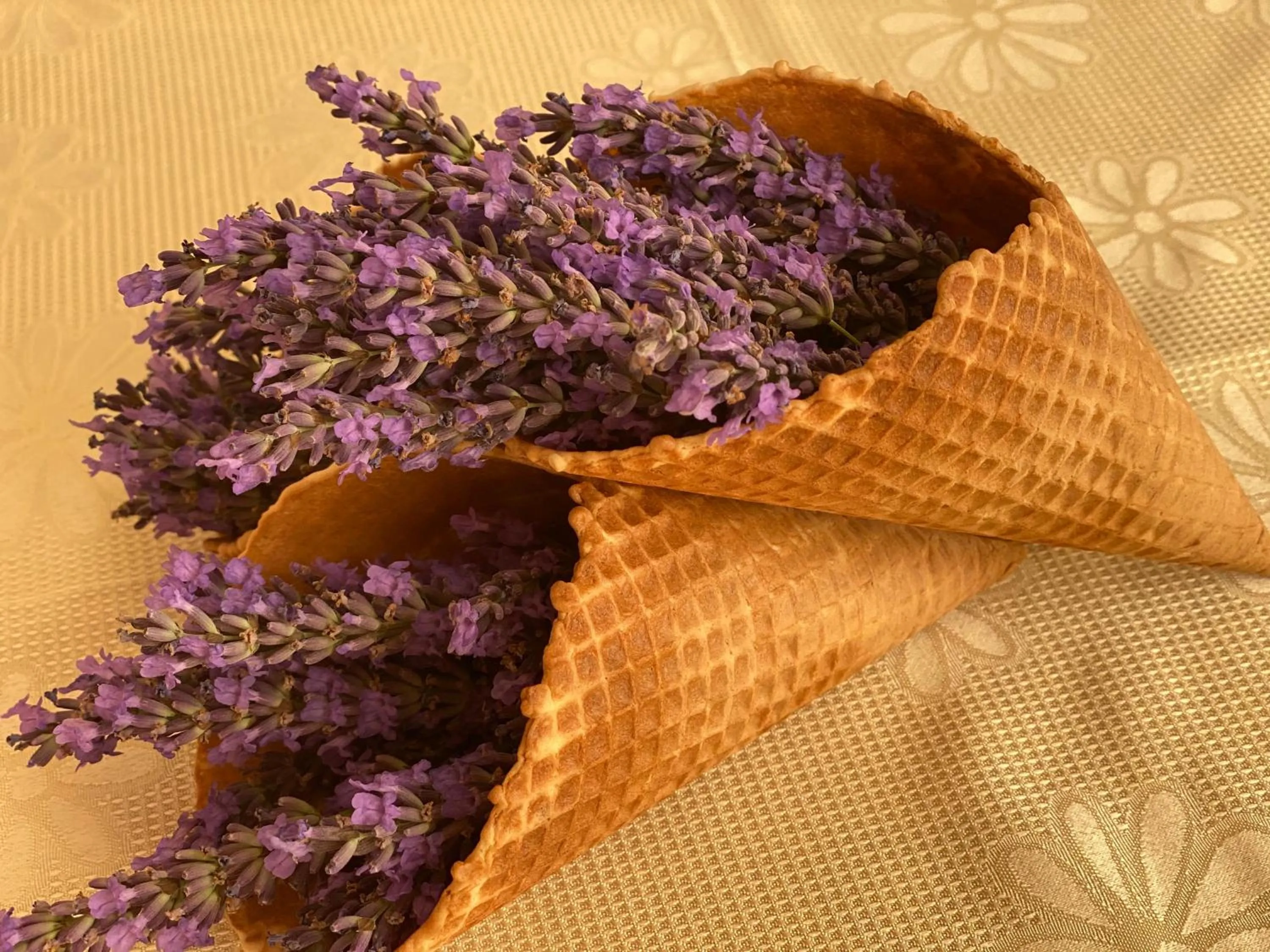 Restaurant/places to eat in Hotel Plamena Palace