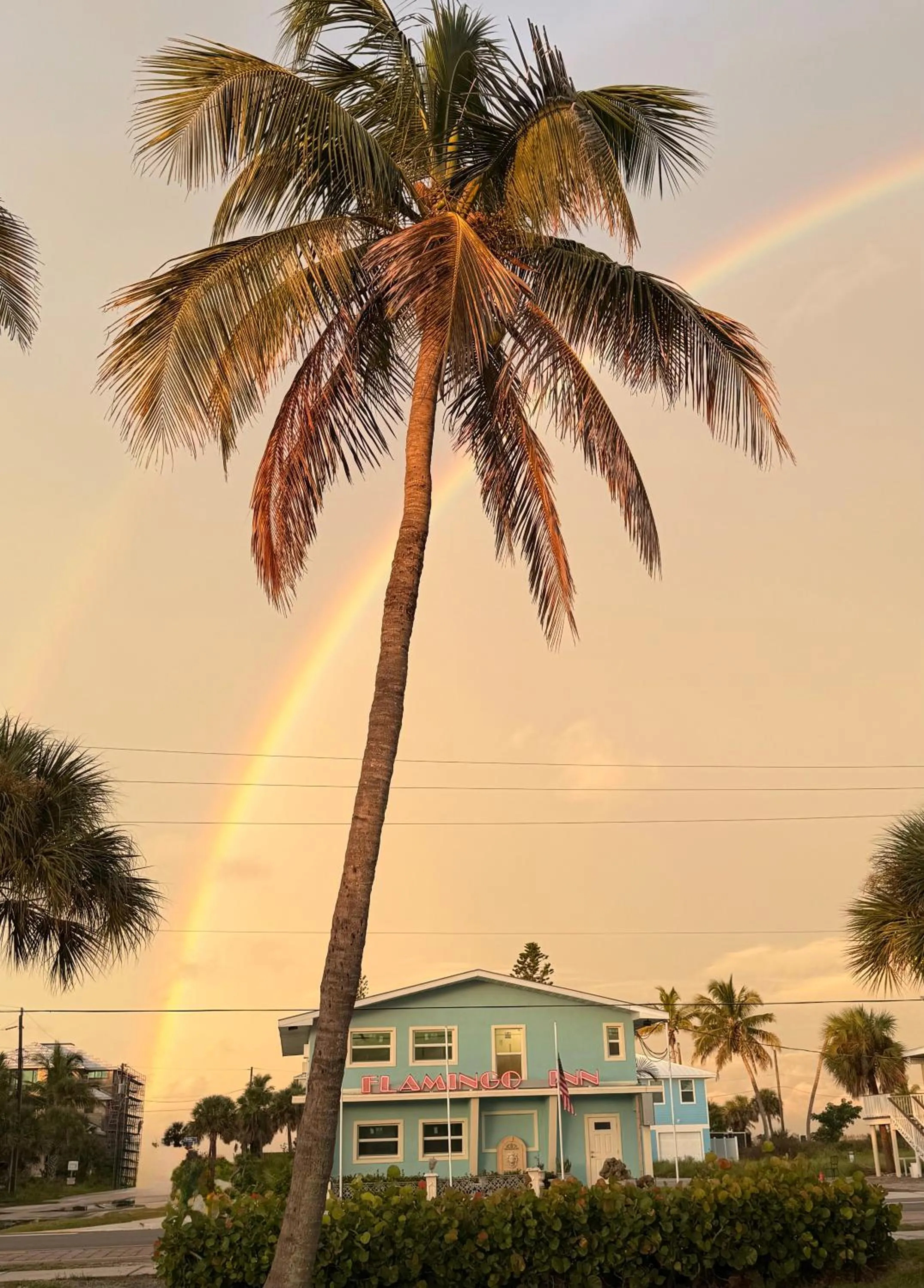 Property building in Flamingo Inn