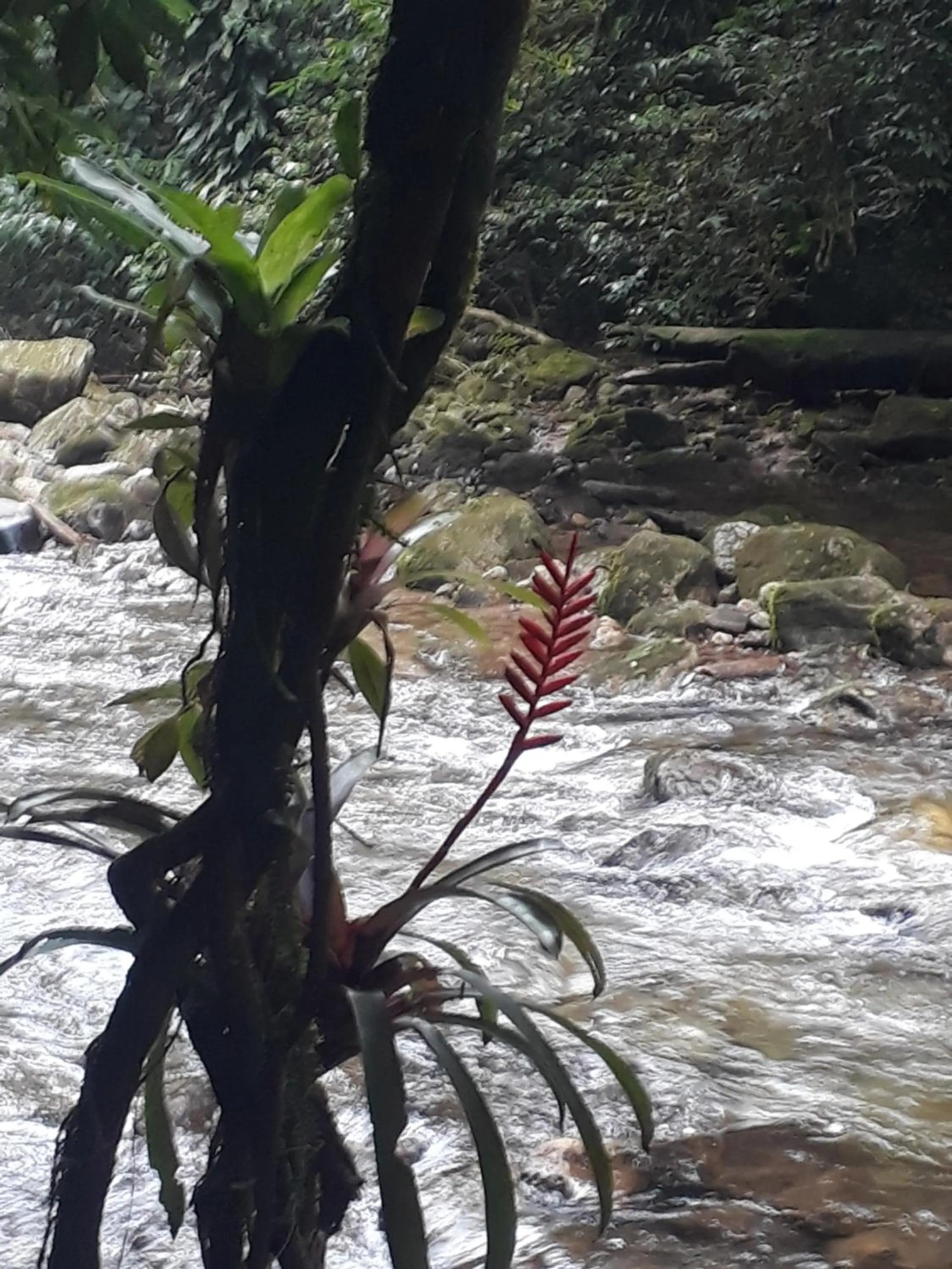 Aconchego 3 dorms, piscina, churrasq em Condomínio Fechado