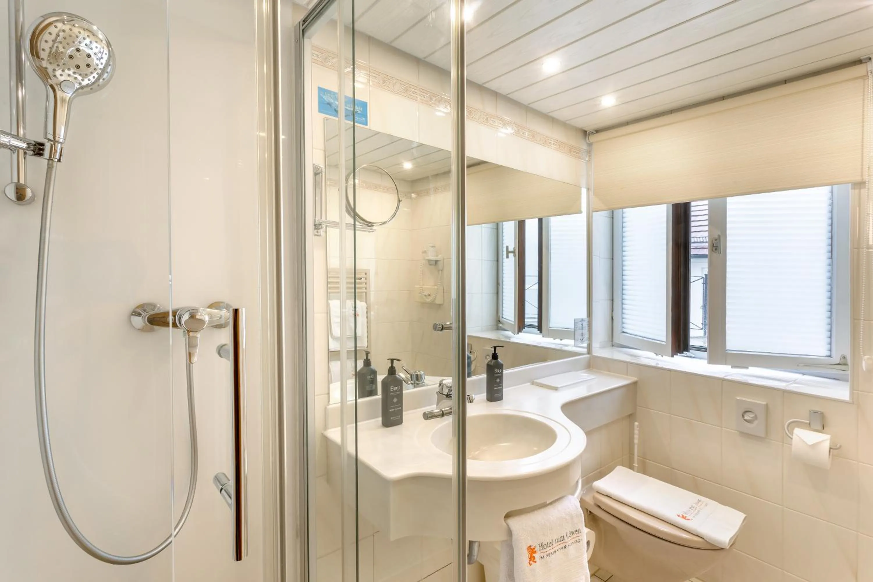 Shower in Gasthof zum Löwen