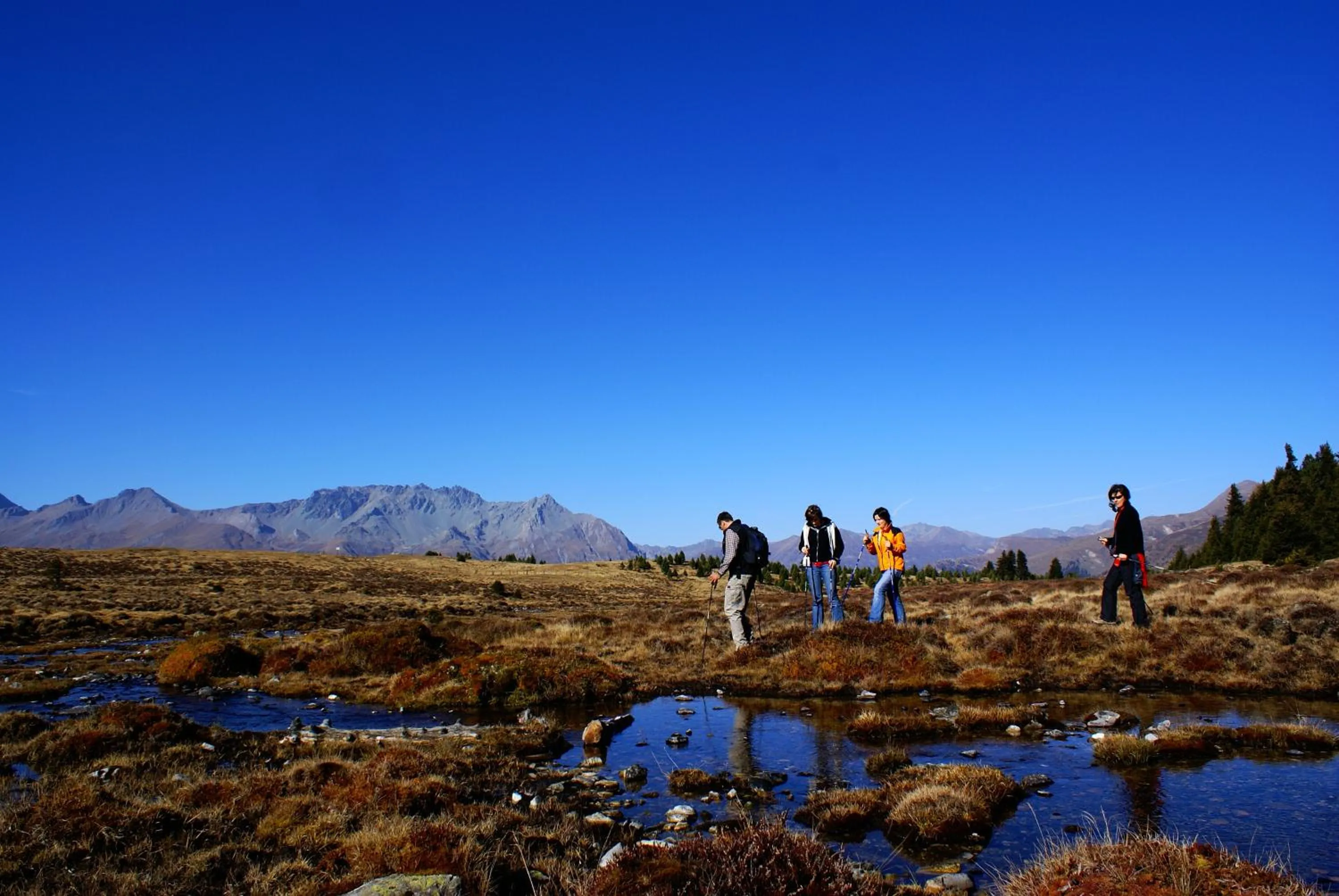 Hiking in Pension Tirol