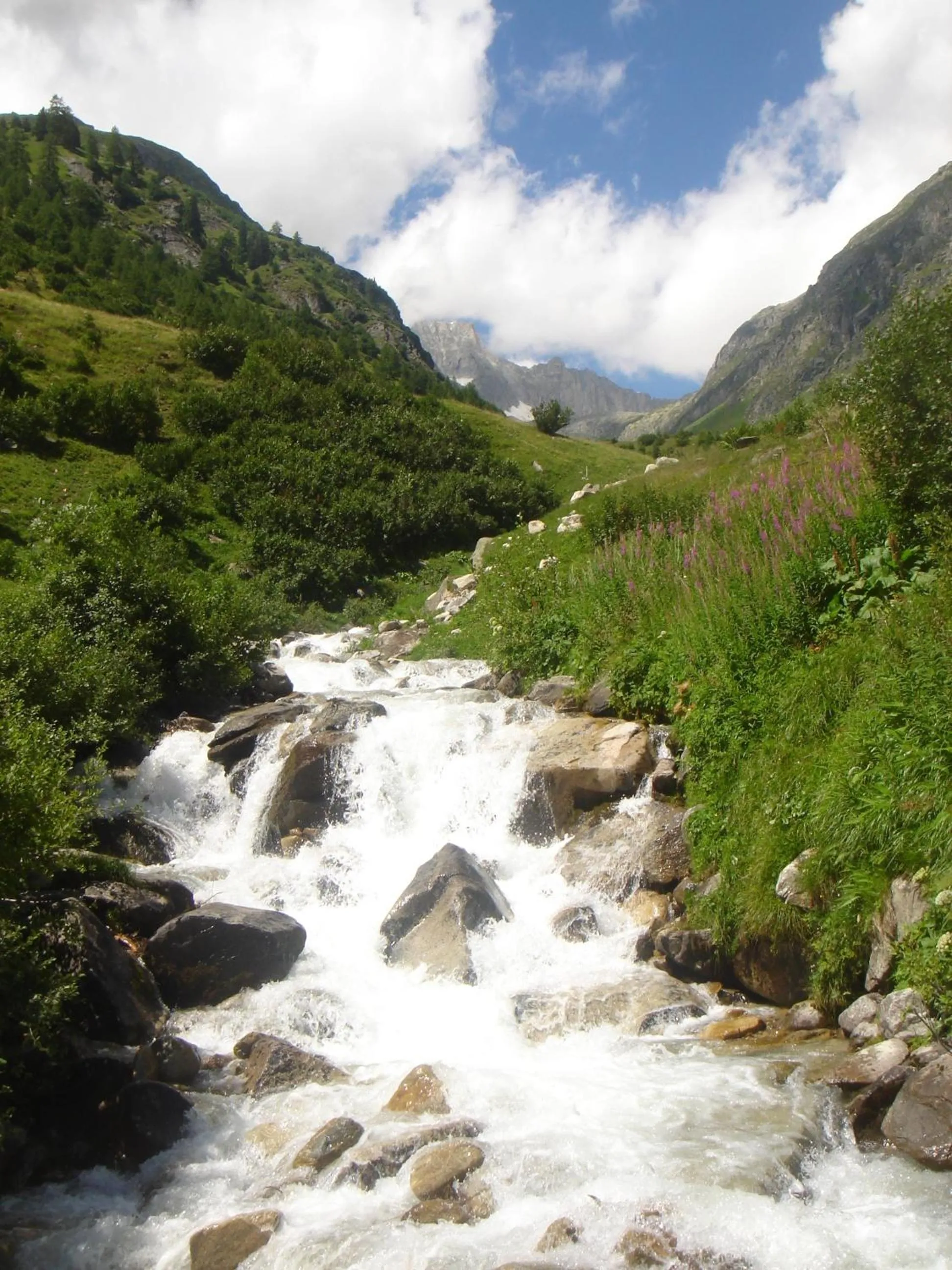 Hiking in Hotel-Restaurant Drei Tannen