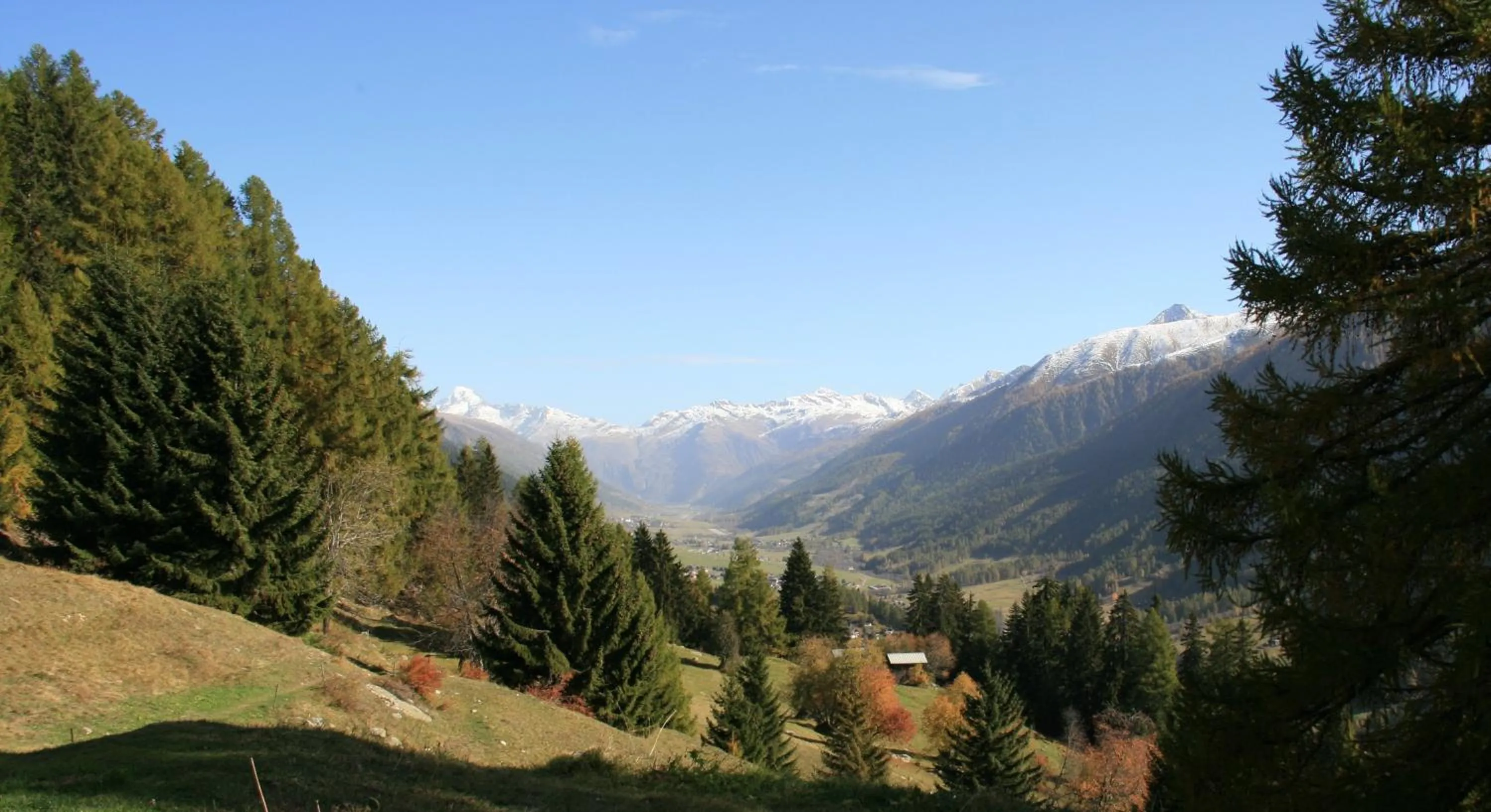 Natural landscape in Hotel-Restaurant Drei Tannen