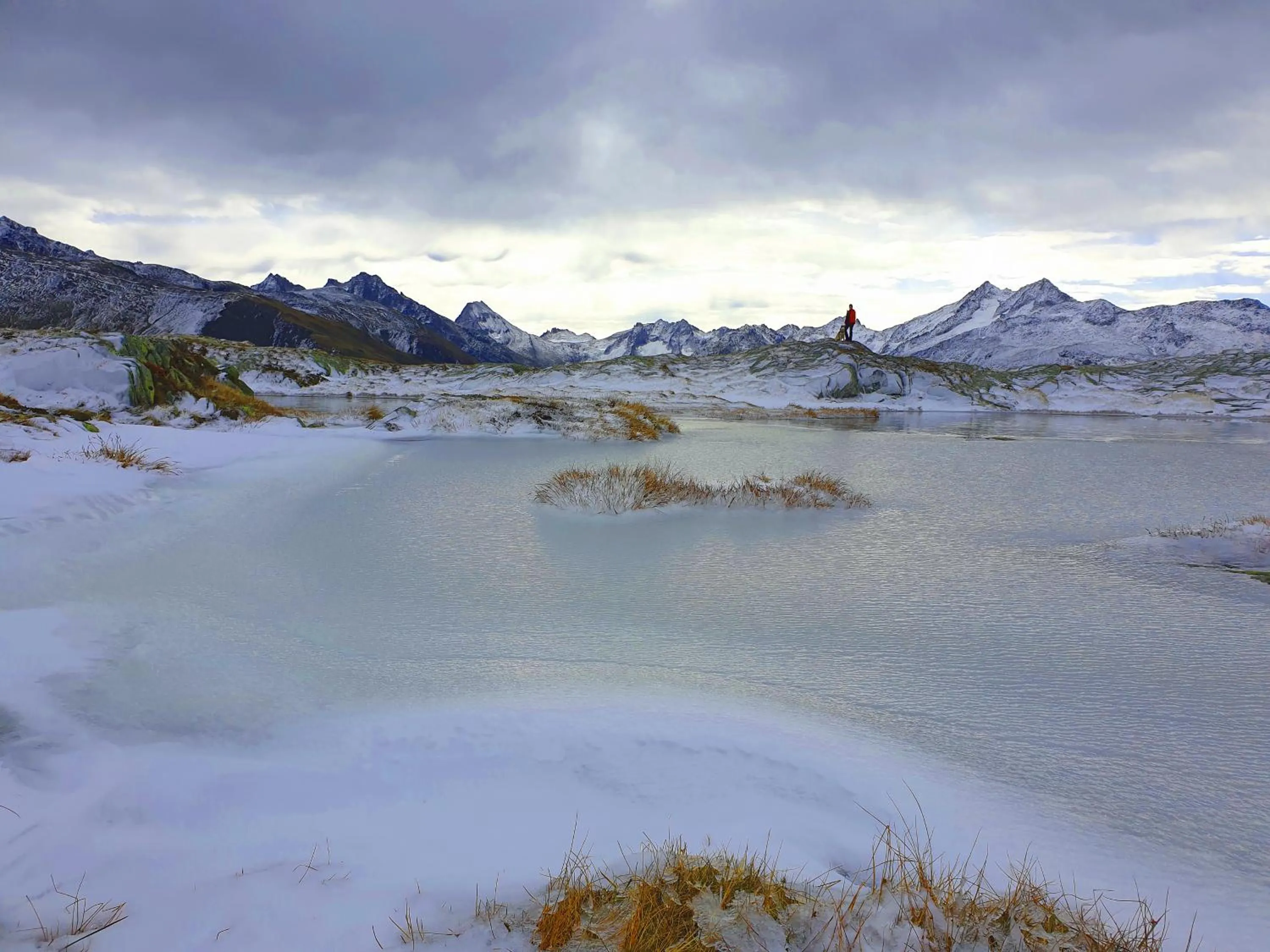 Natural landscape in Hotel Astoria