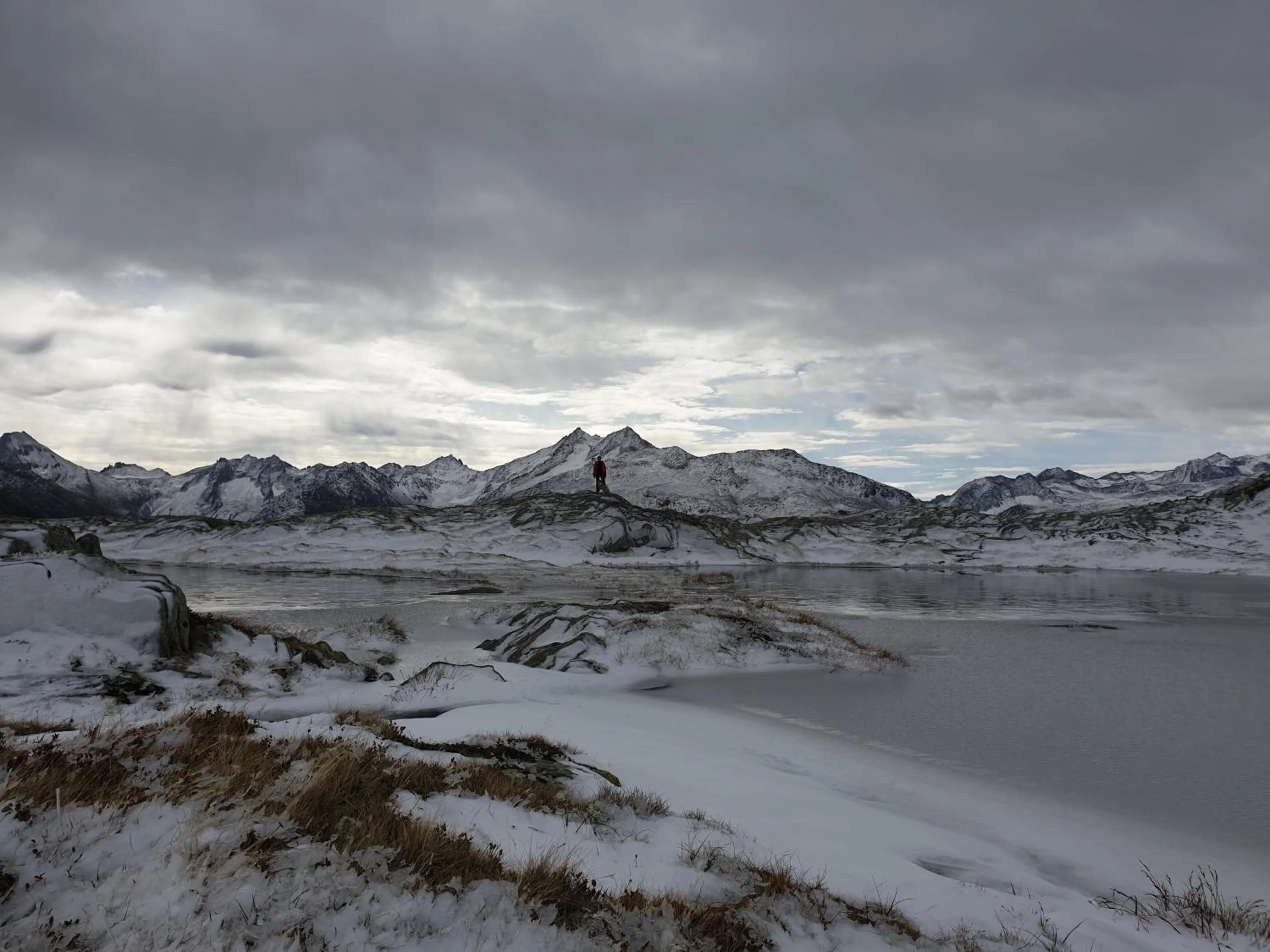 Natural landscape in Hotel Astoria
