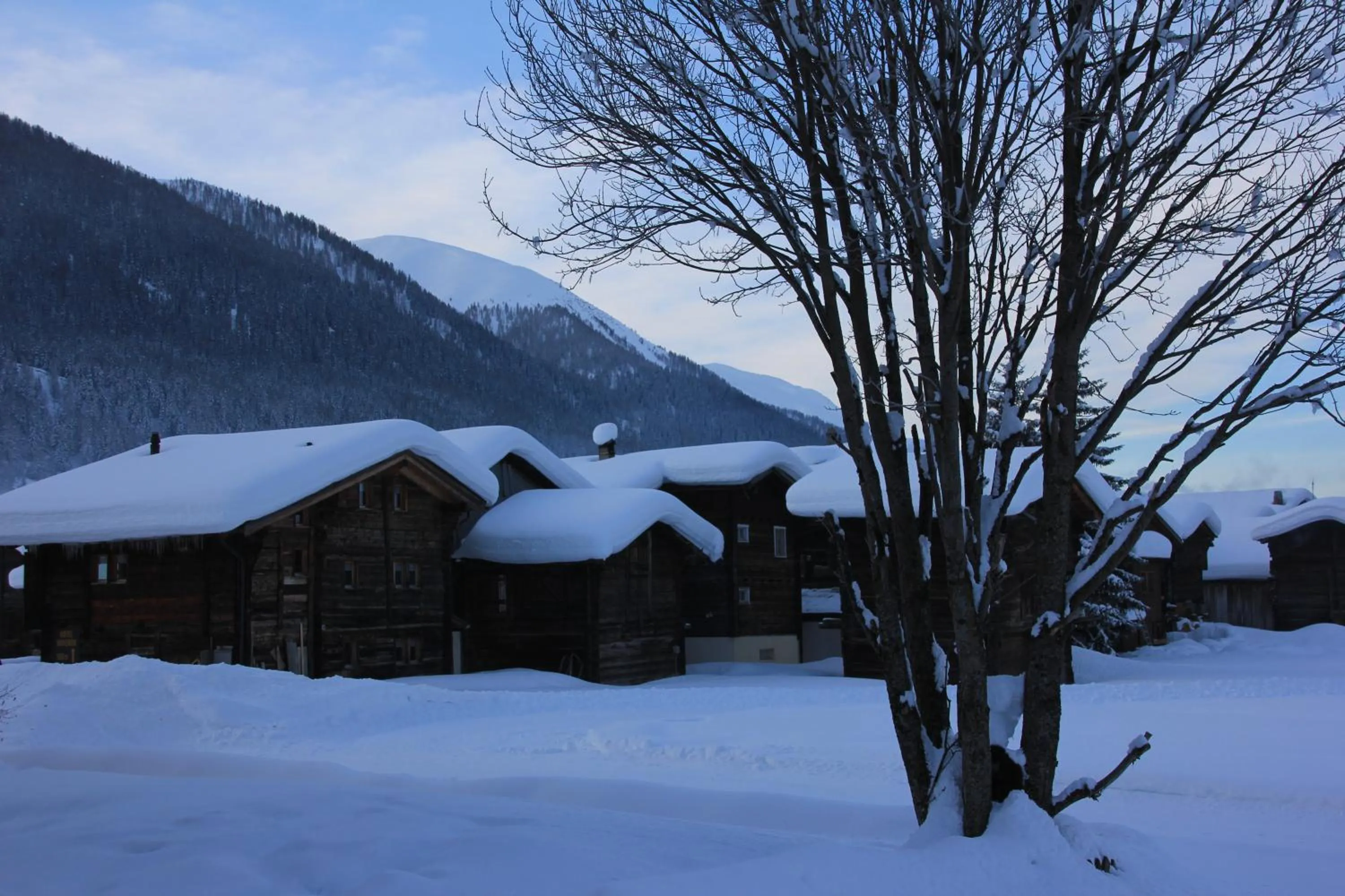 Natural landscape in Hotel Astoria