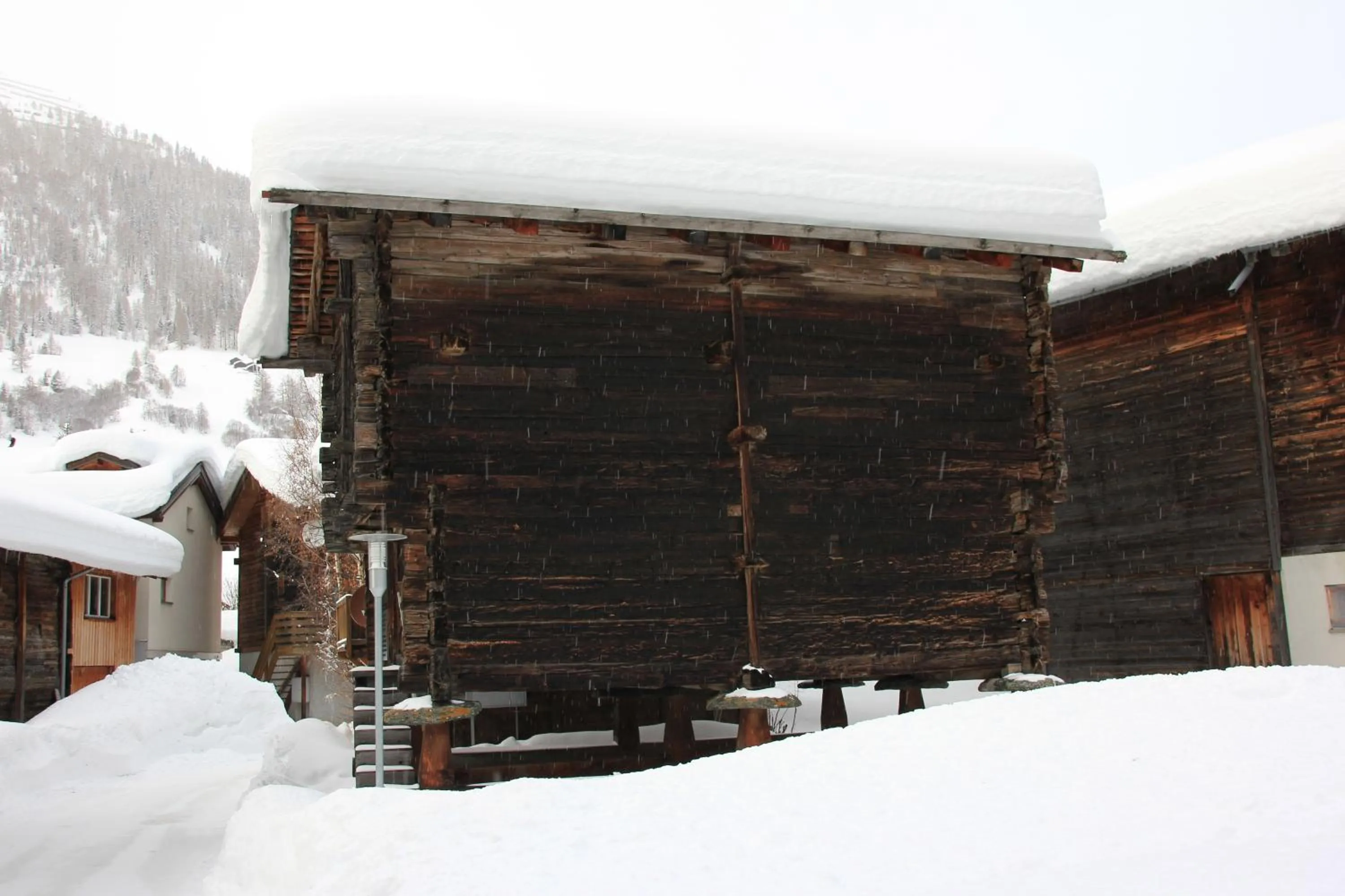 Natural landscape in Hotel Astoria