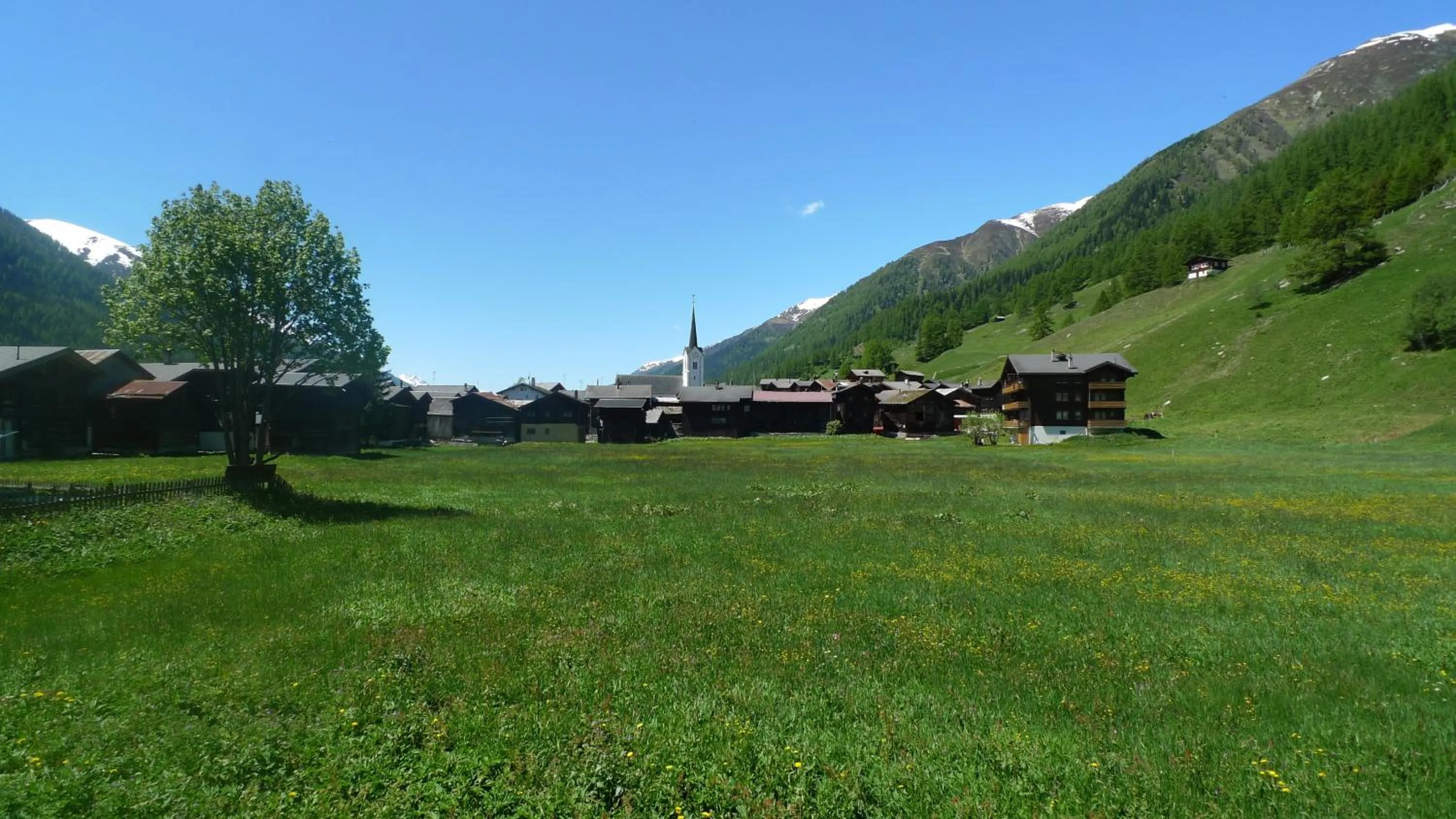 Natural landscape in Hotel Astoria